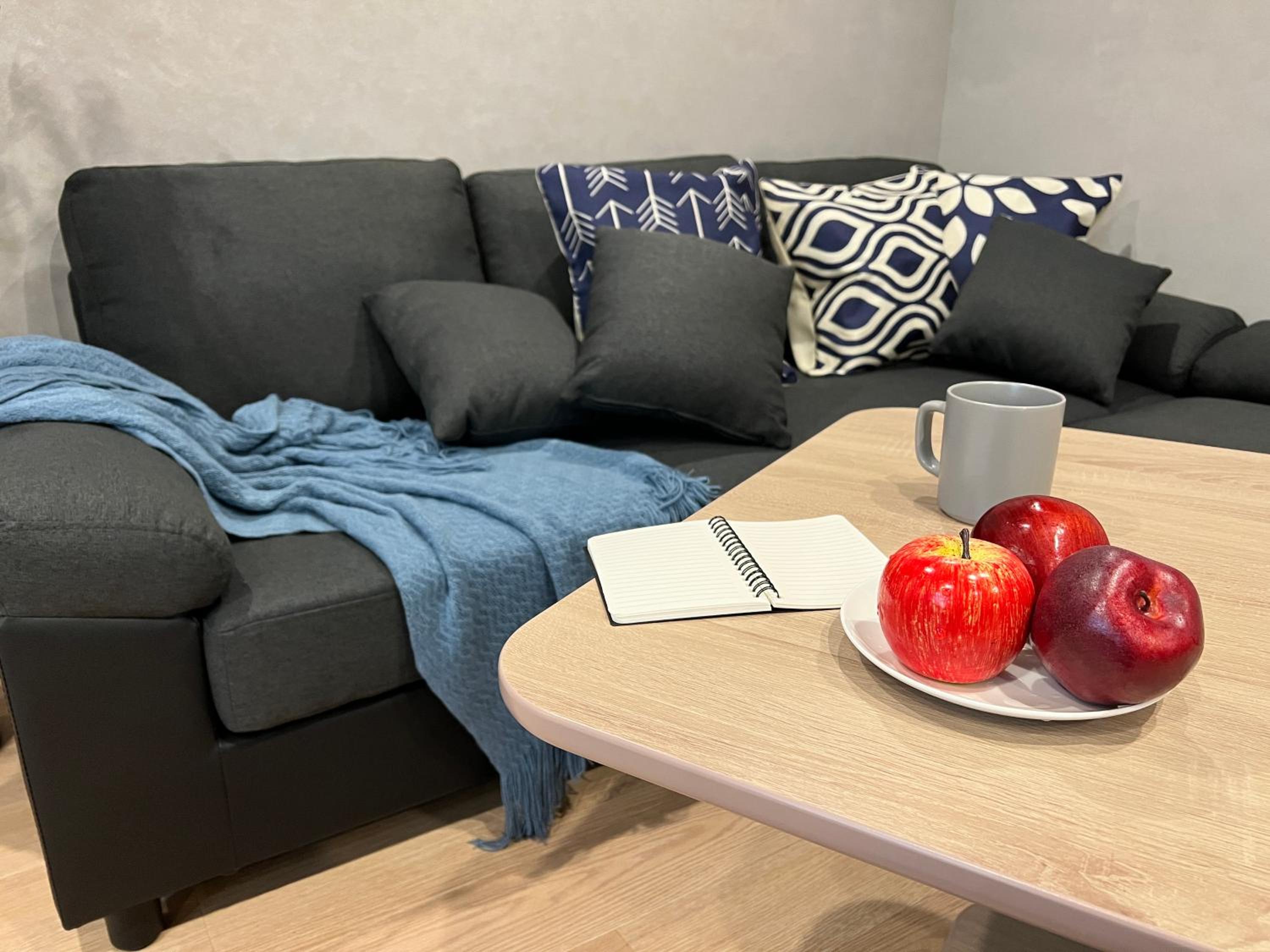nestay villa tokyo nippori
