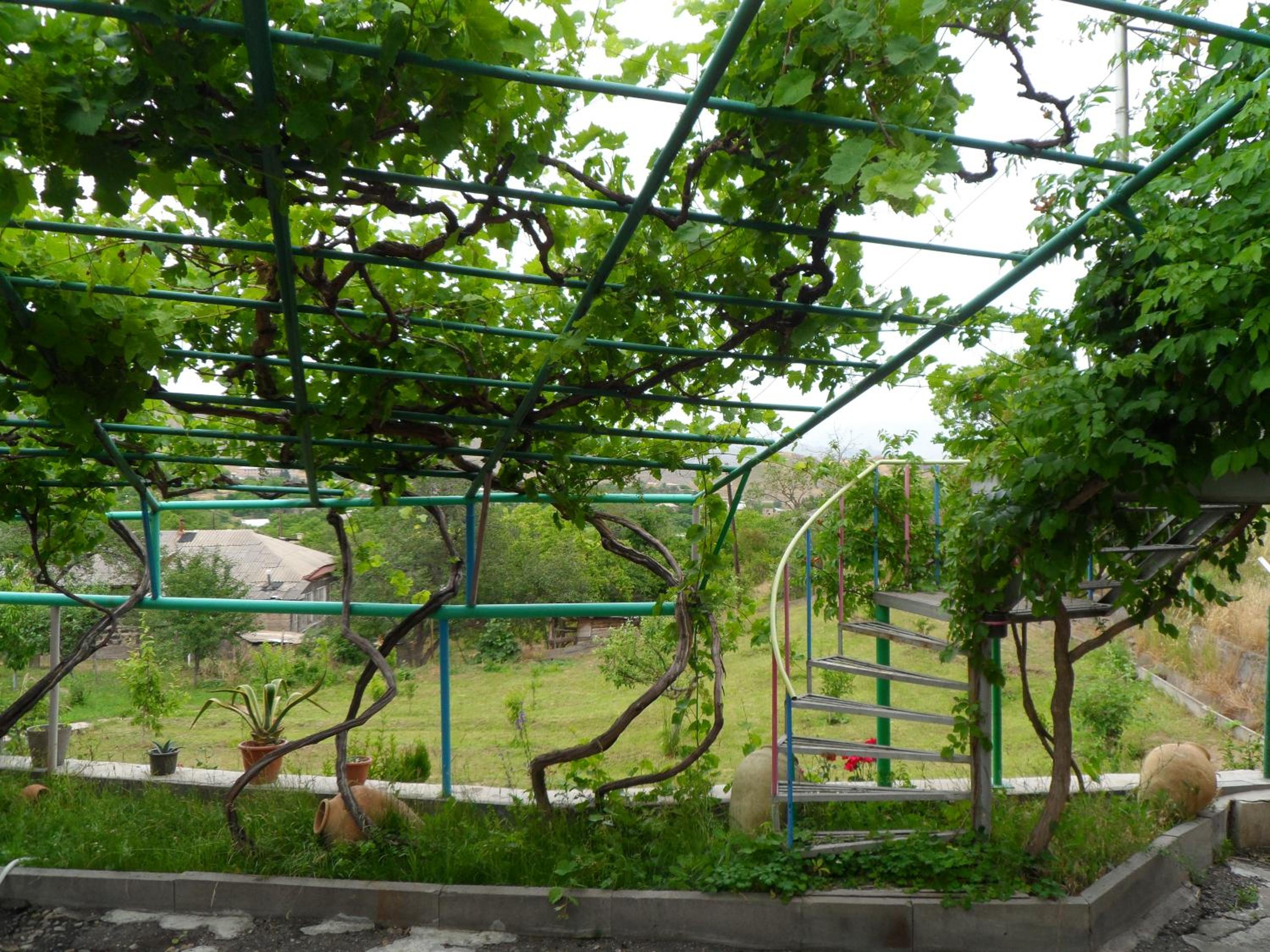 Guest house Nataly