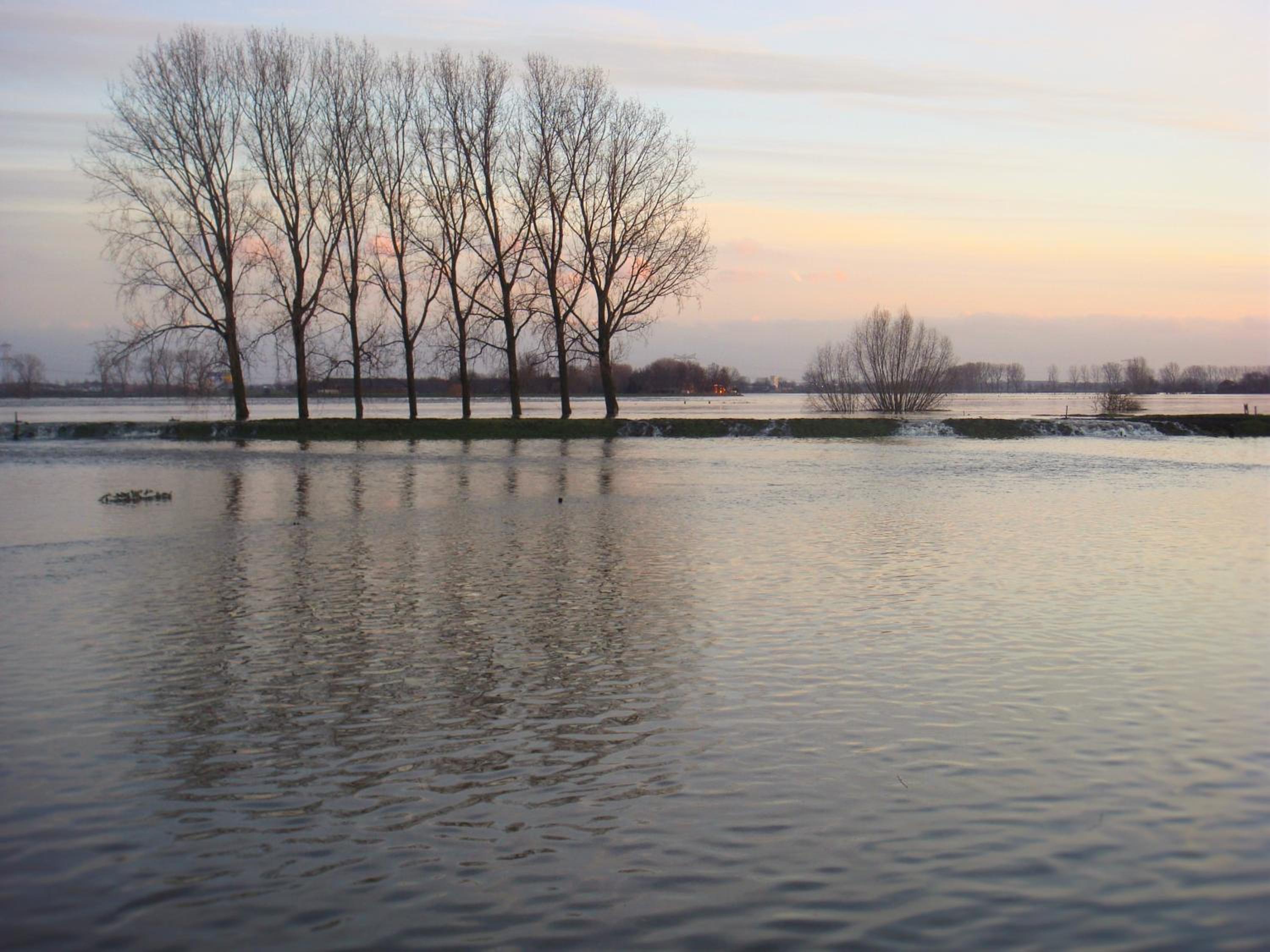 B&B 't Goedhof