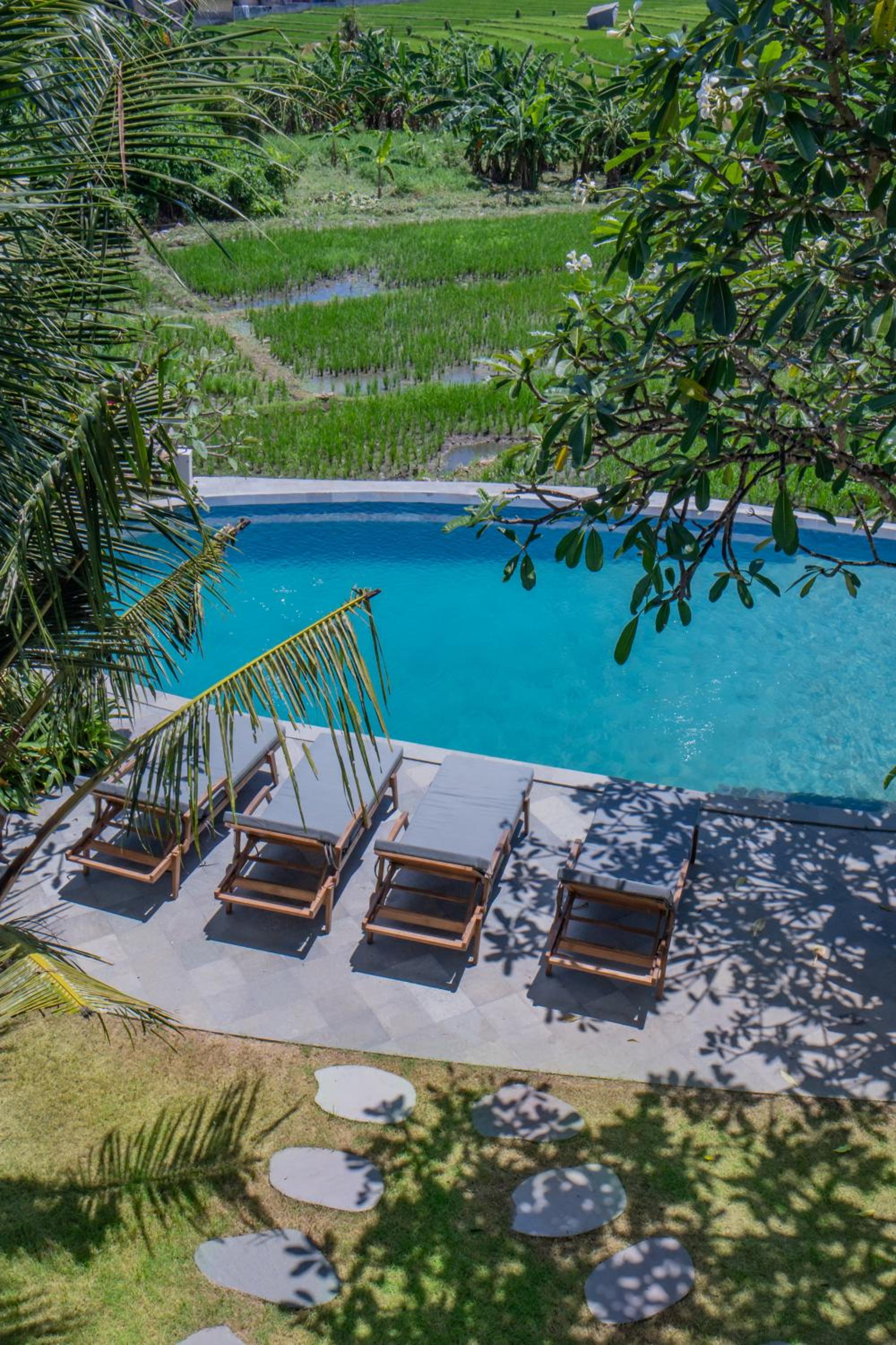 Padma Villa Center Canggu Rice paddies view