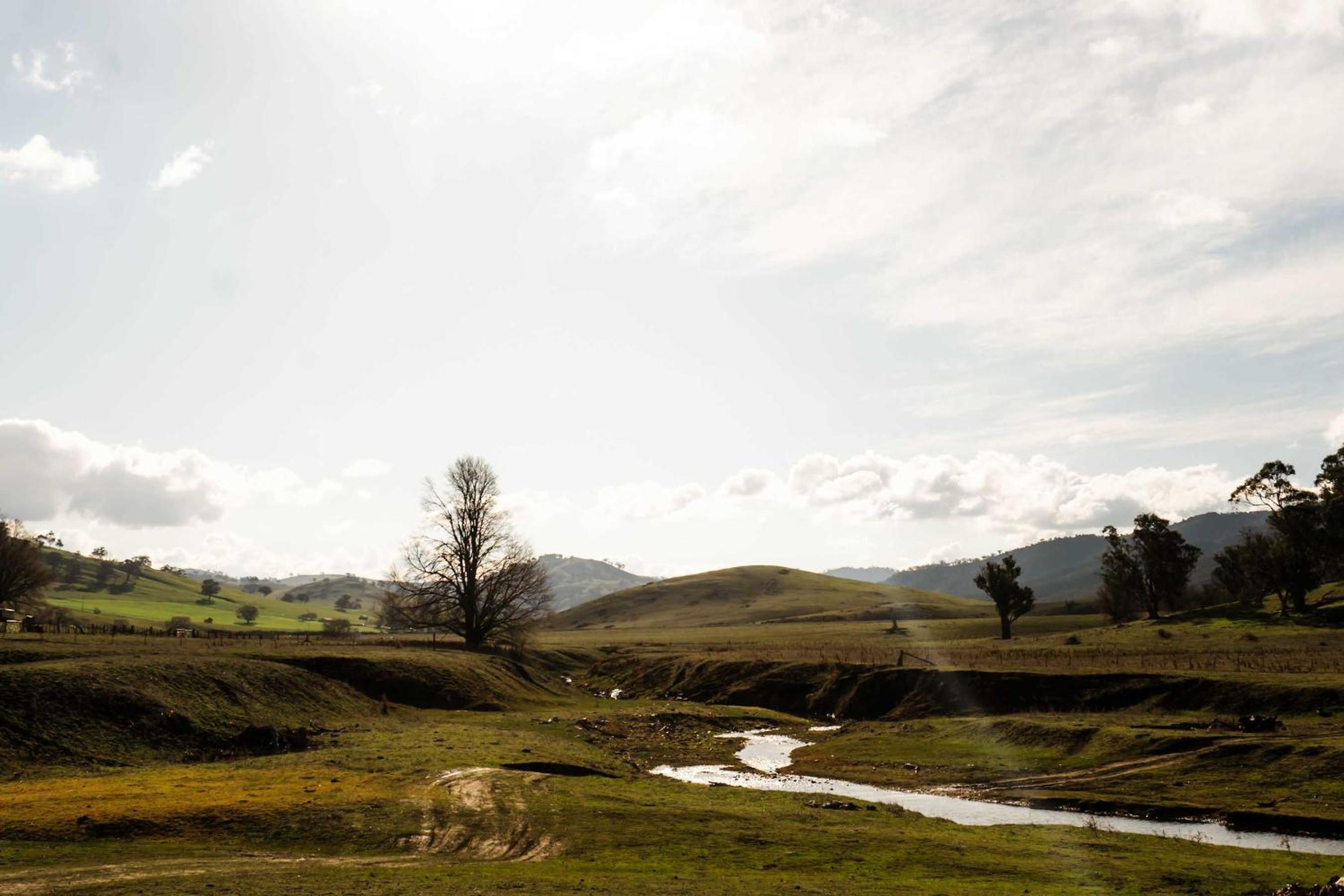 Brungle Creek Escape 2 by Tiny Away