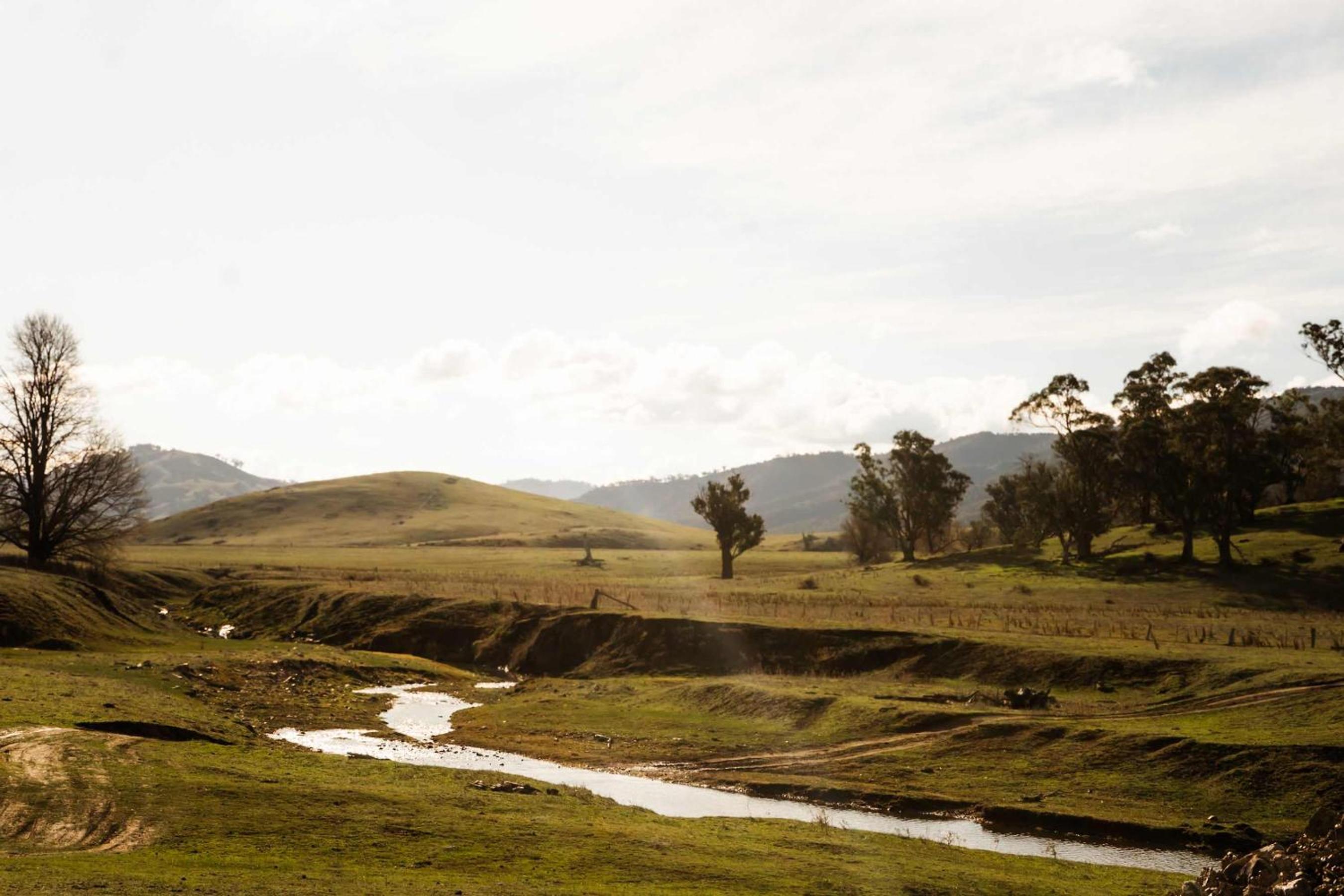 Brungle Creek Escape 2 by Tiny Away