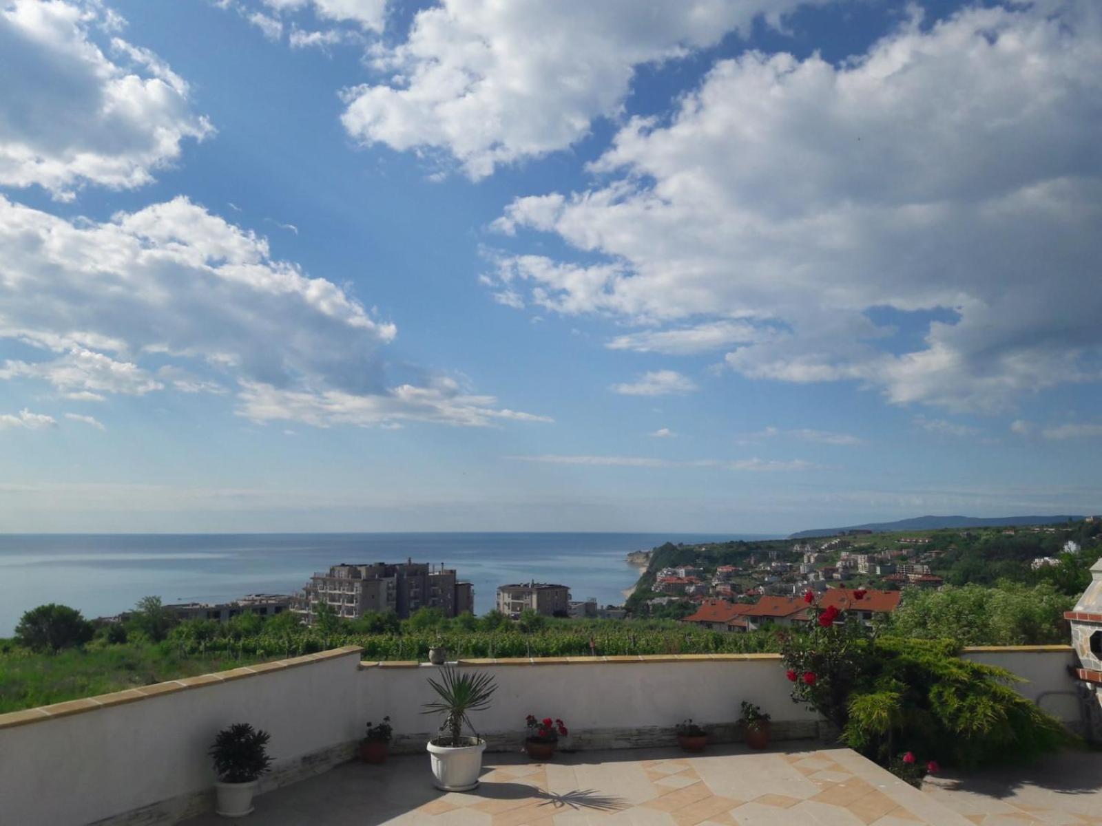 Villa Byala Grape House