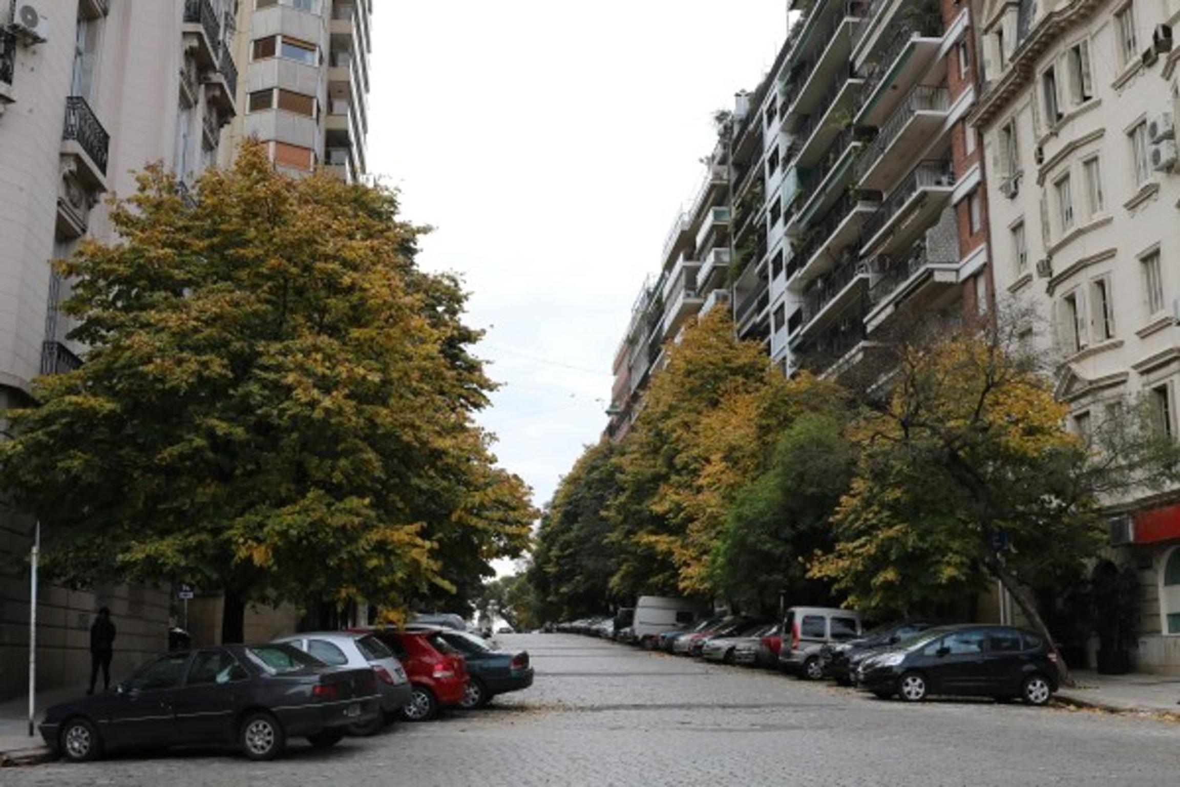 Sunny Recoleta Apartment