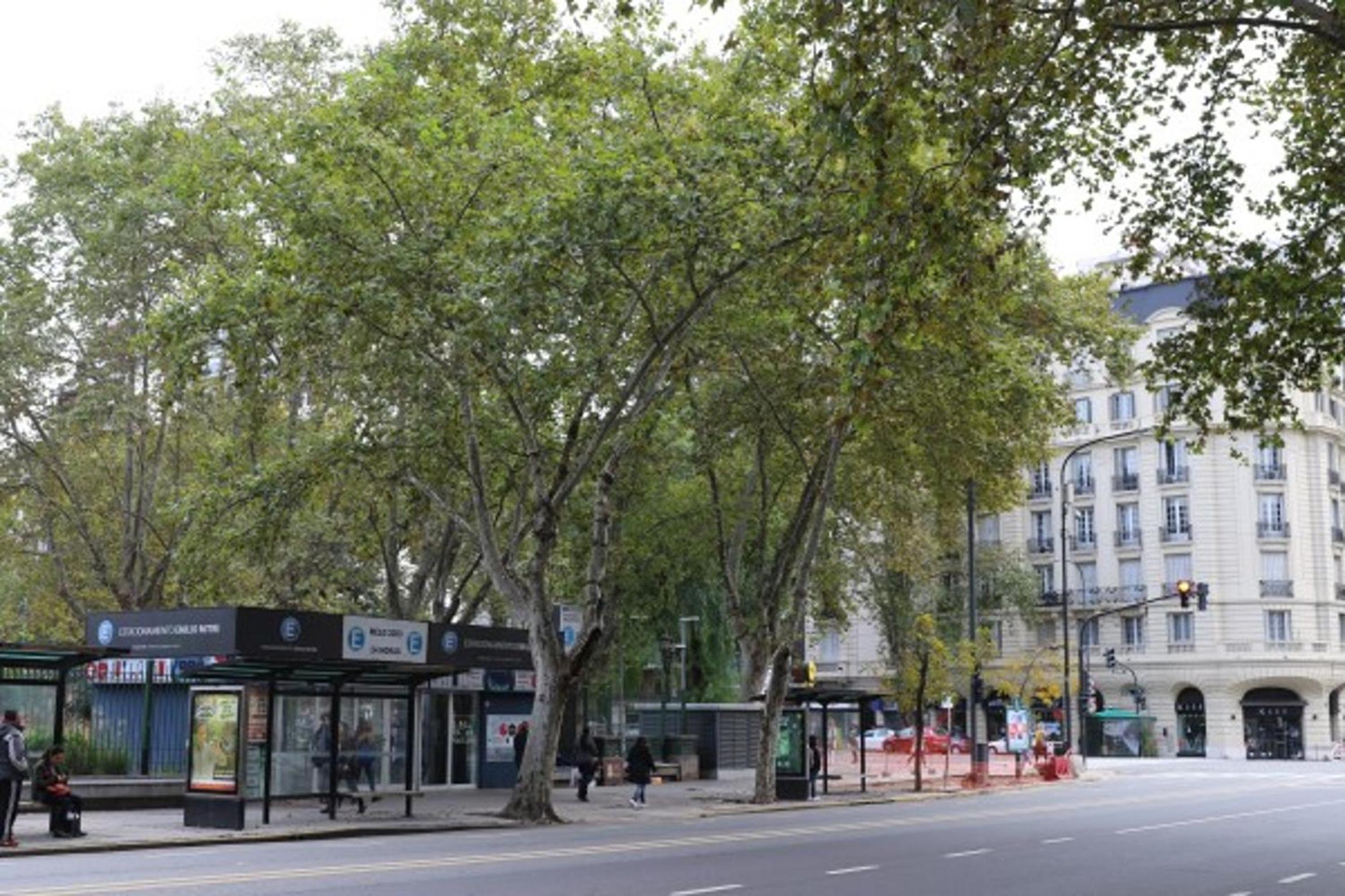 Sunny Recoleta Apartment