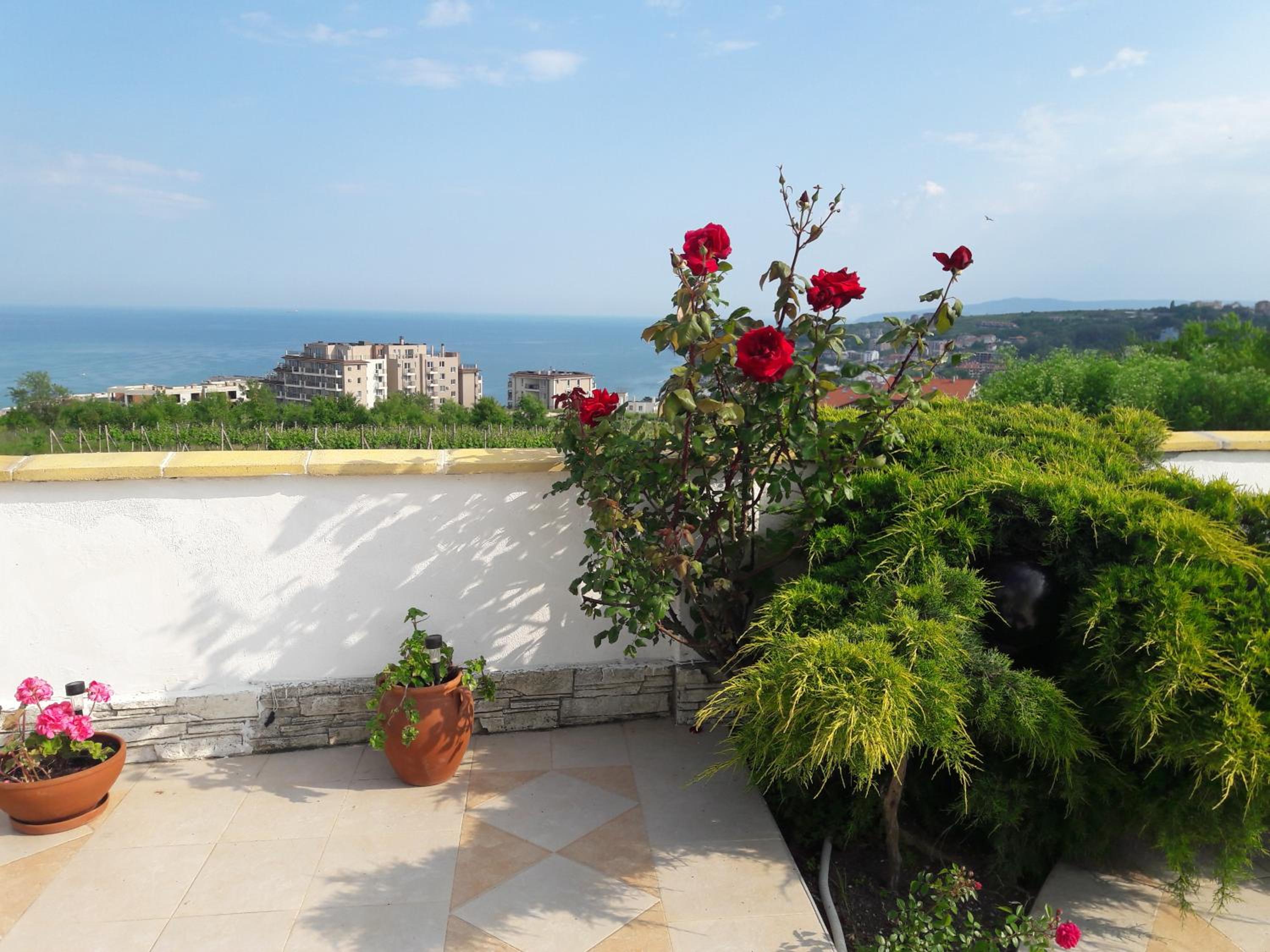 Villa Byala Grape House
