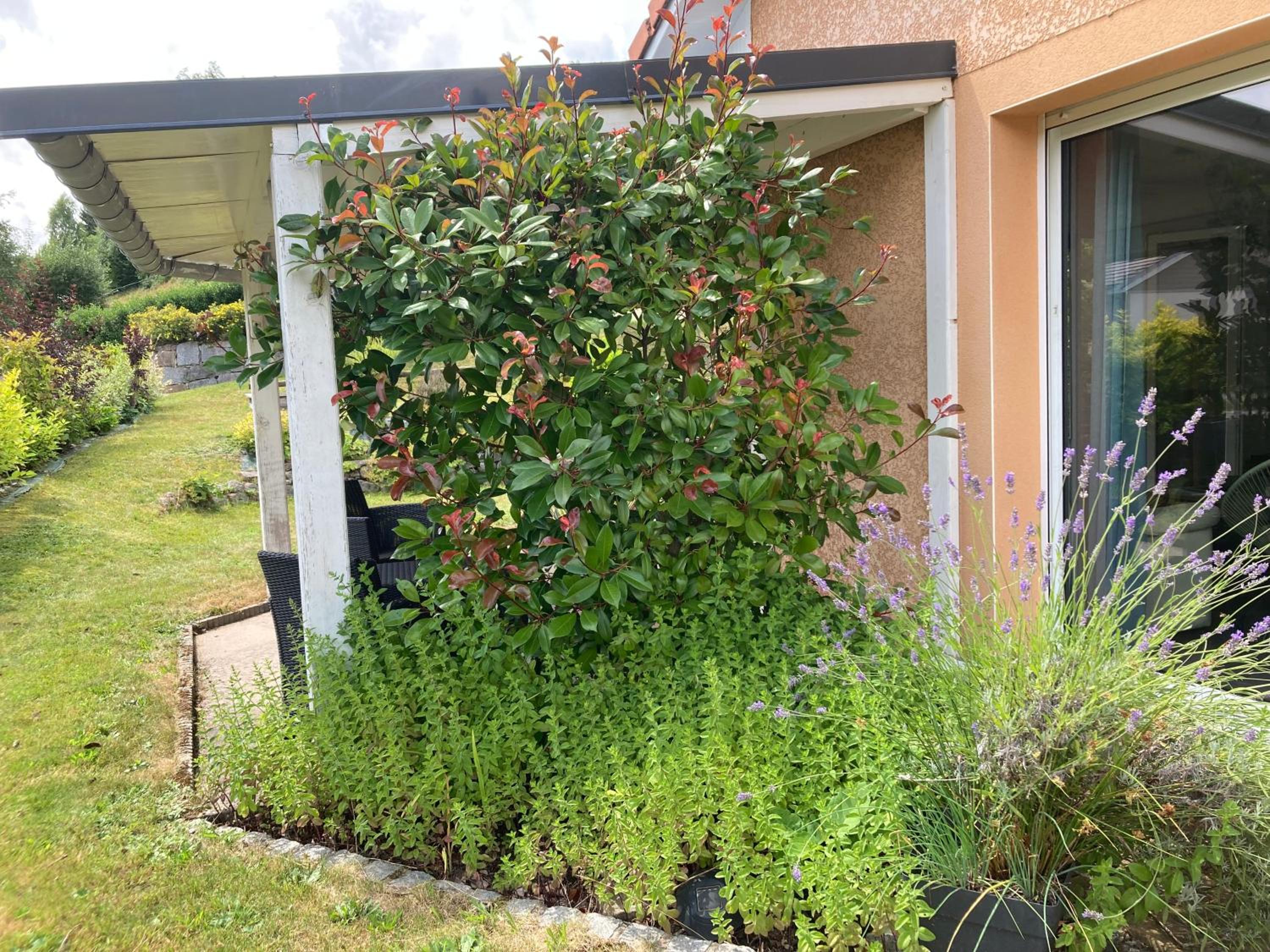 Gite Les Cimes, photo 21