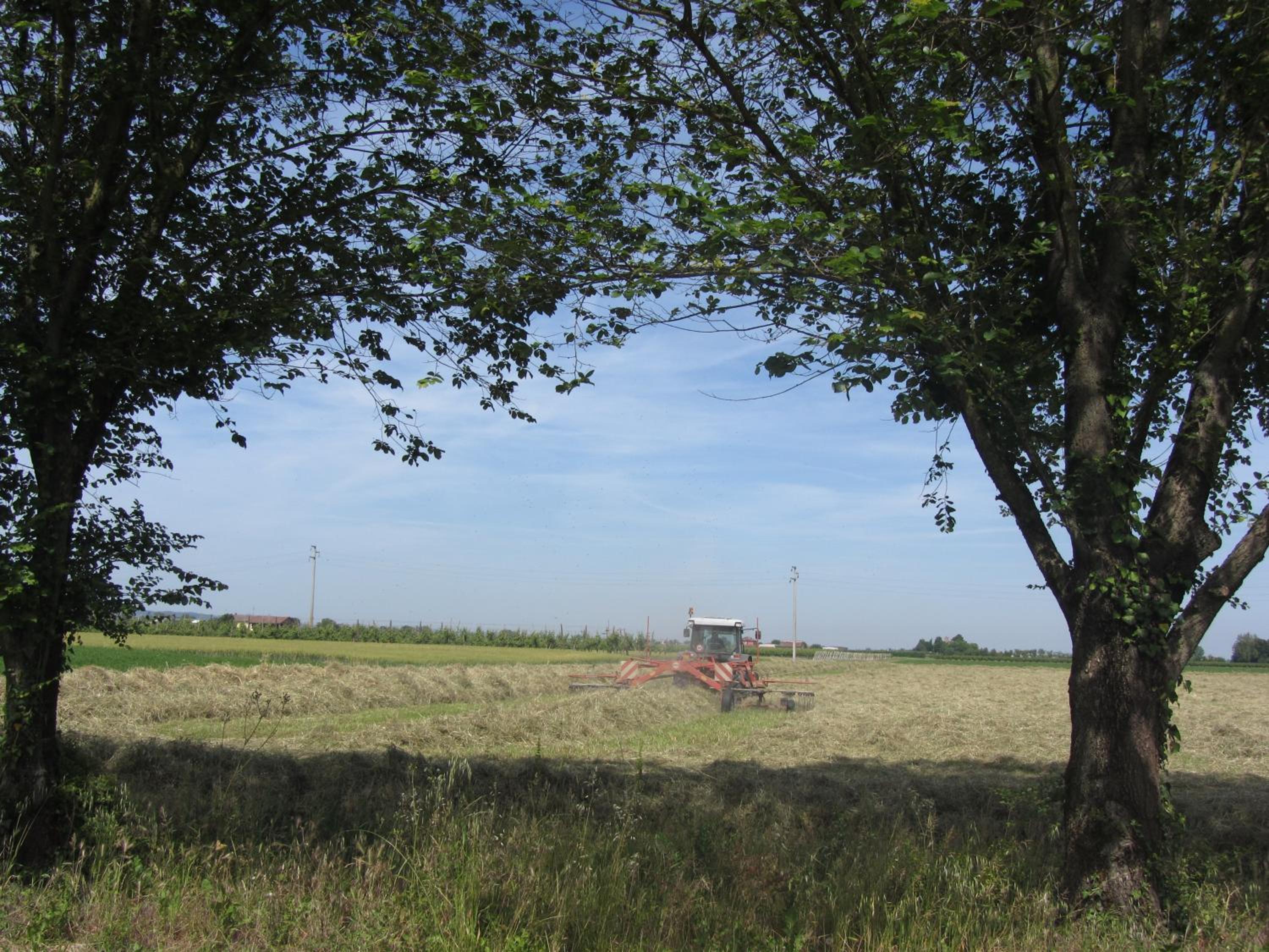 Photo 49