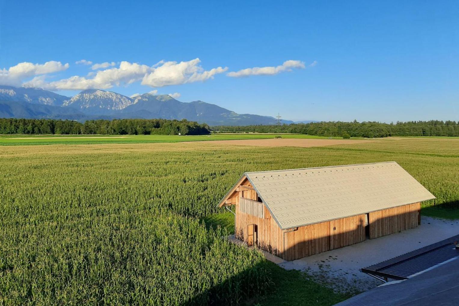 The Barn Košnik