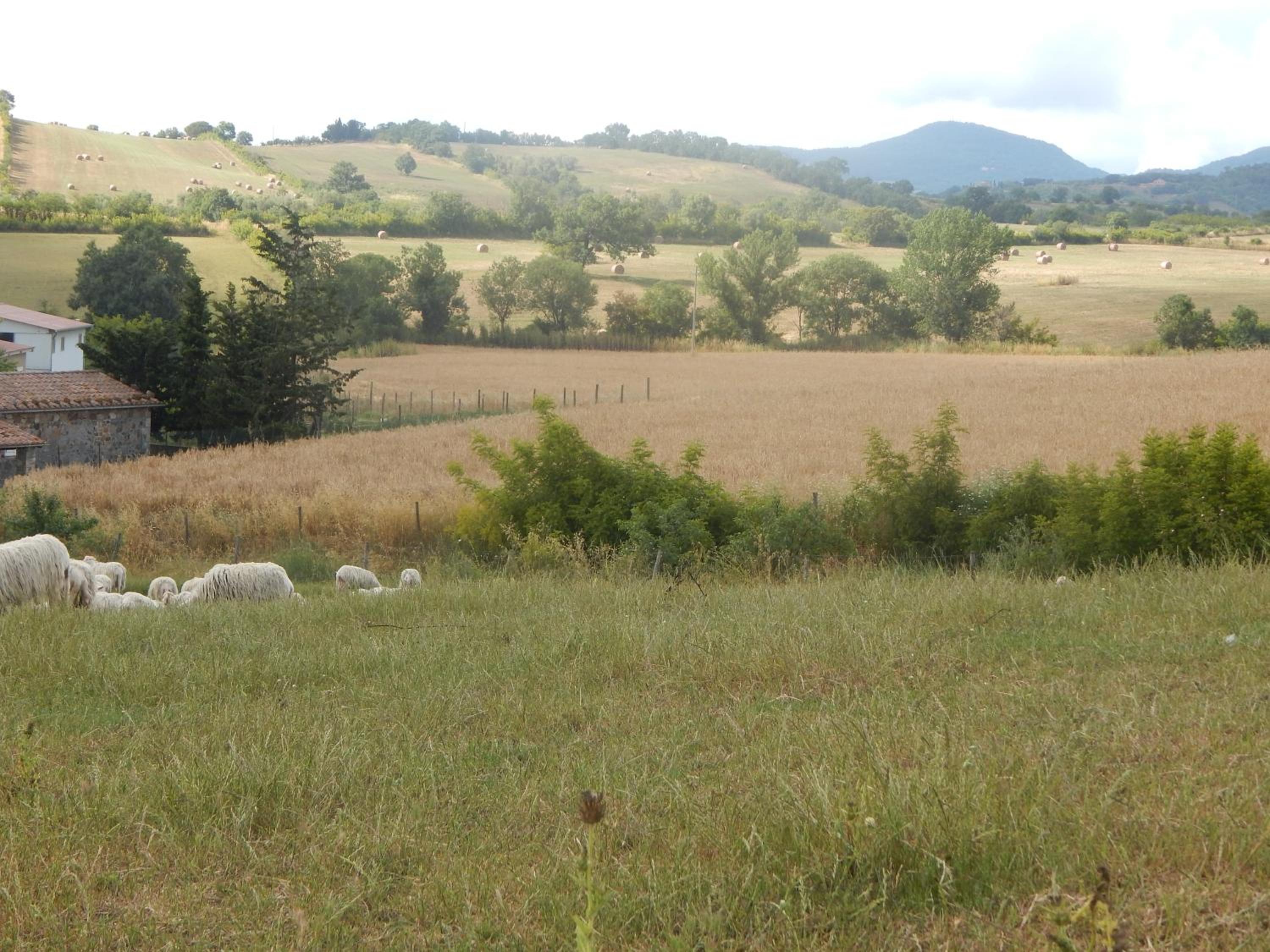 Photo 29