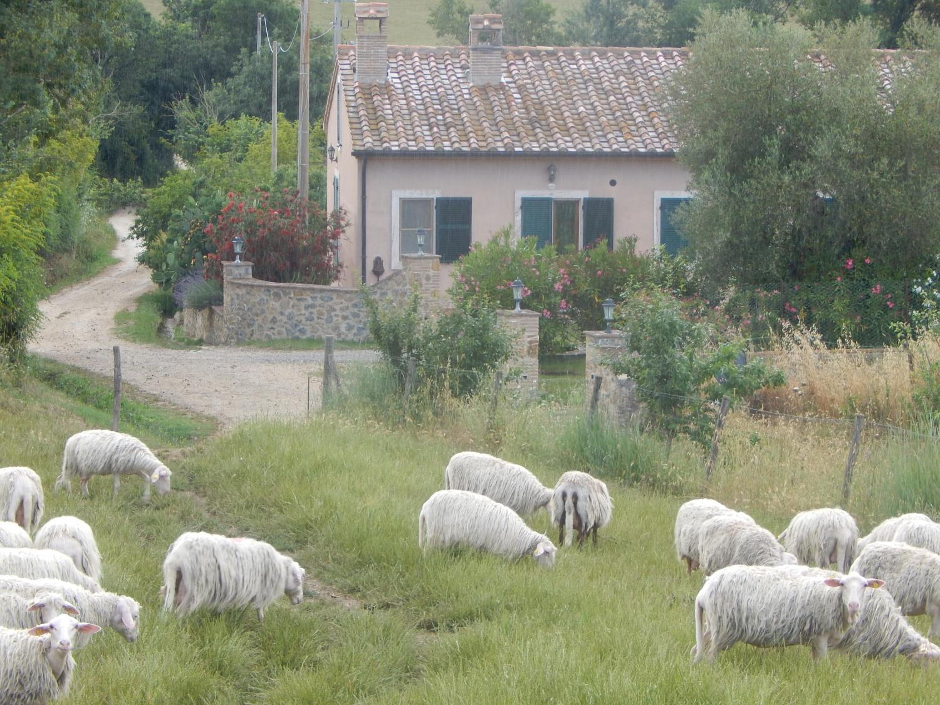 Photo 27
