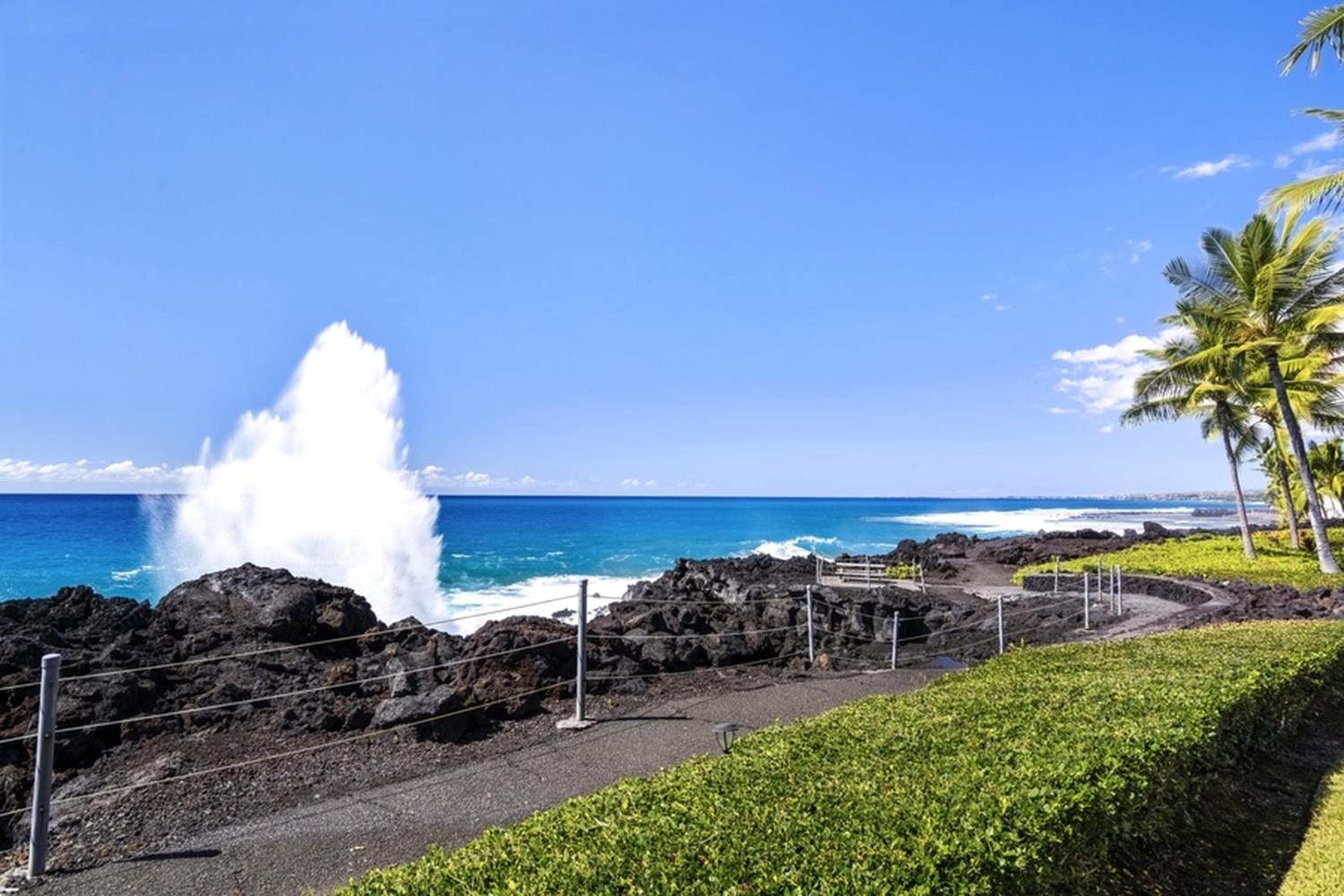 Keauhou Kona Surf & Racquet 2101
