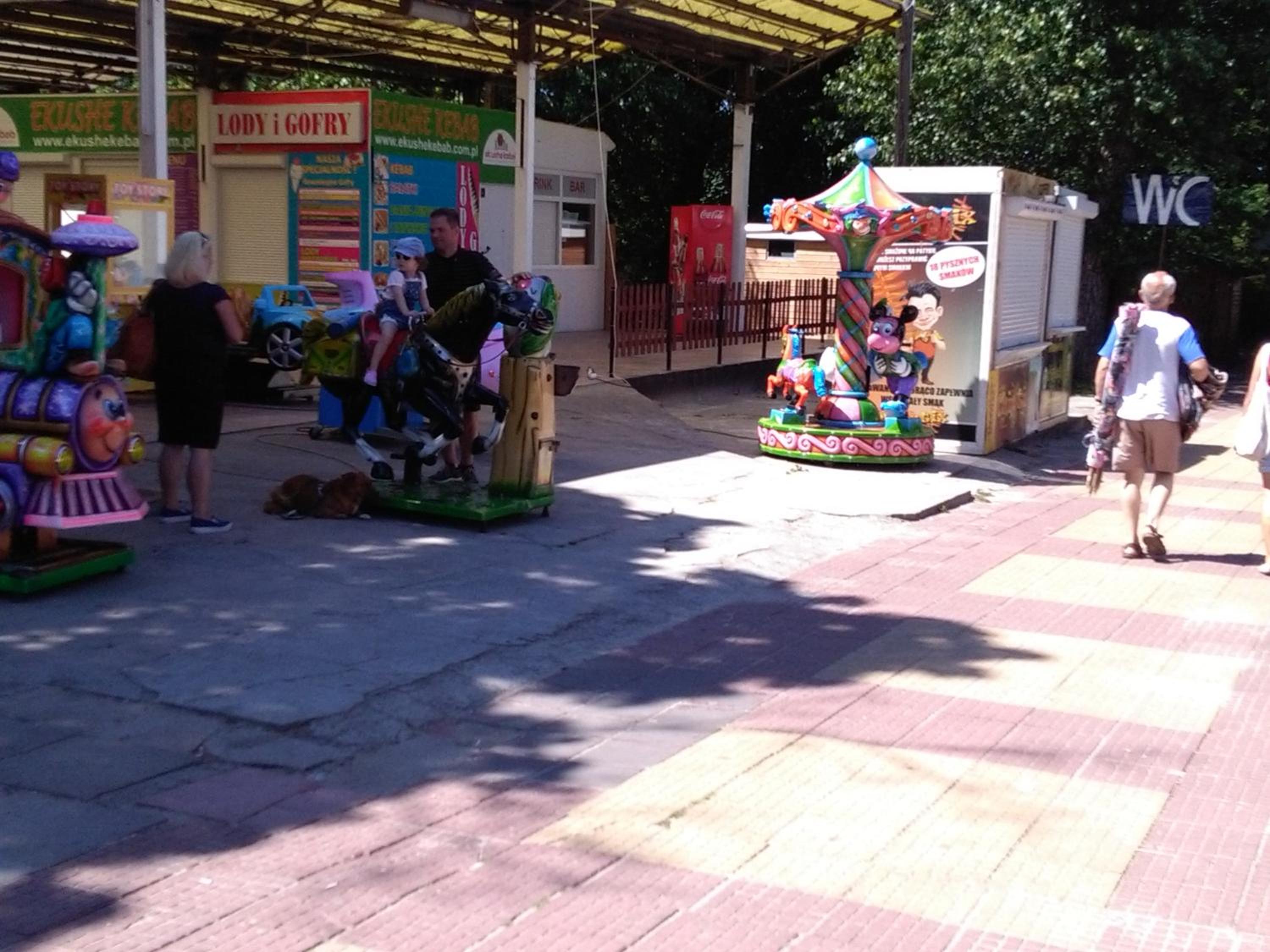 Photo 30