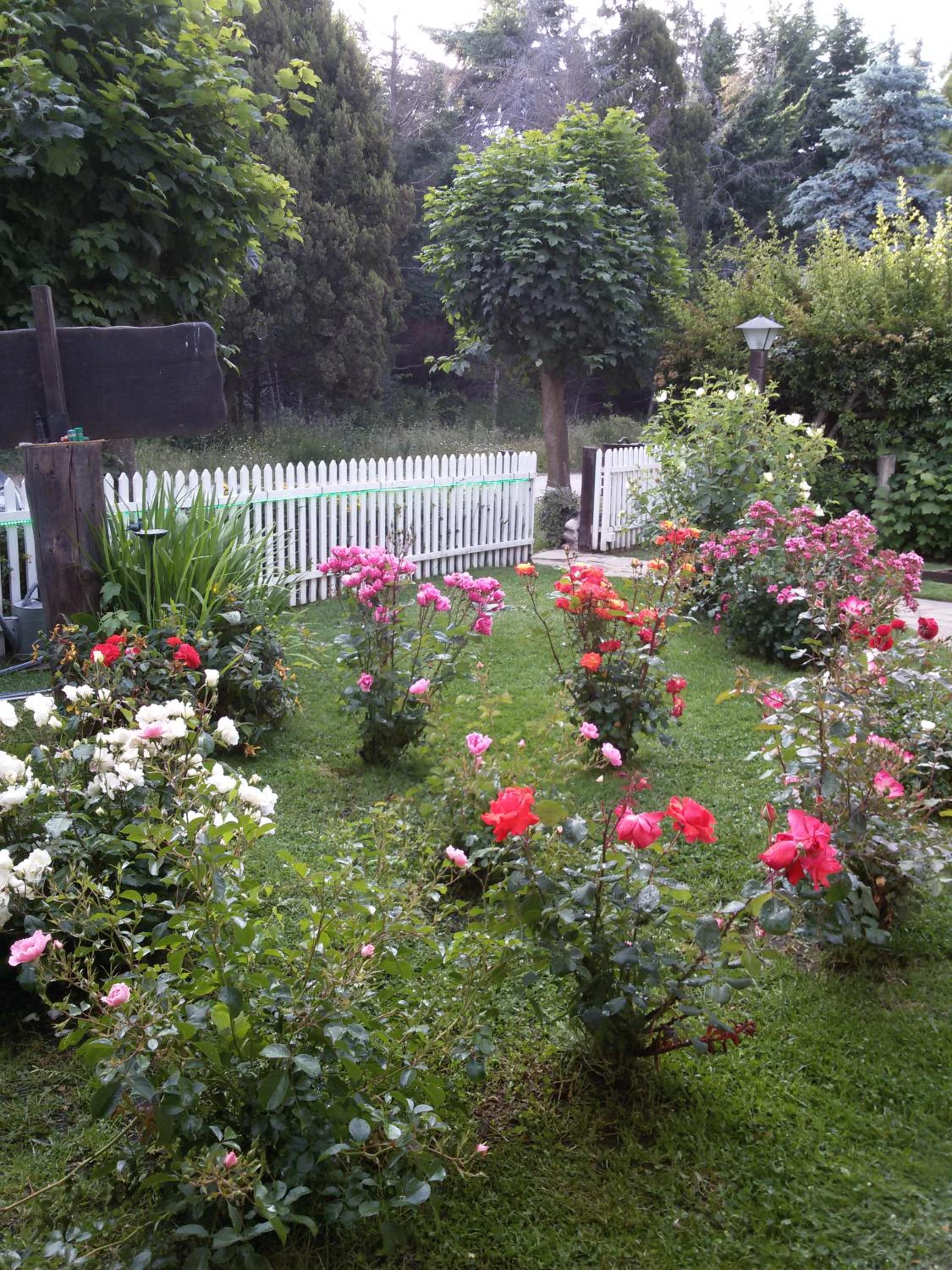 Posada de la Flor