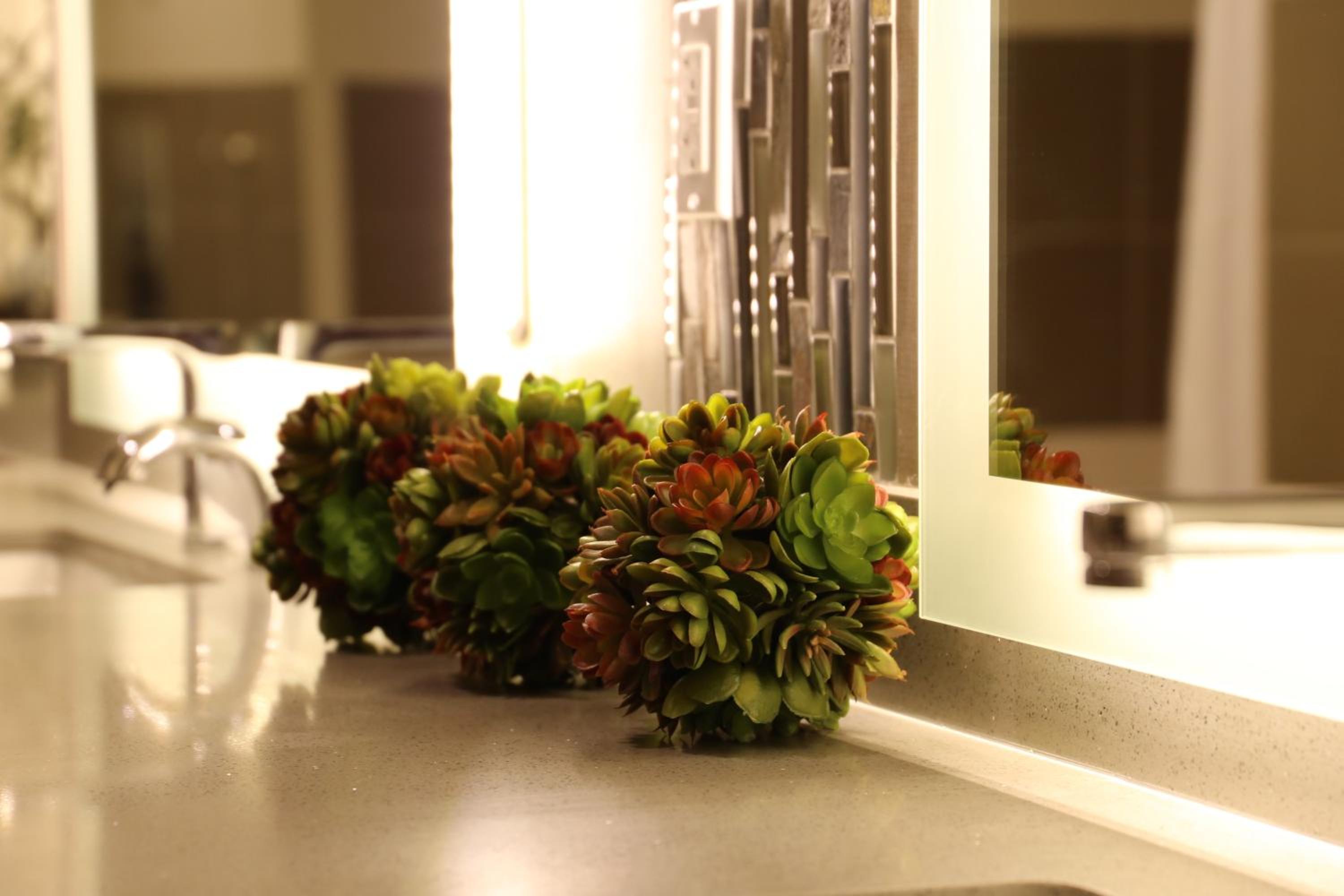 Hyatt Vacation Club at the Welk, San Diego, 写真 103