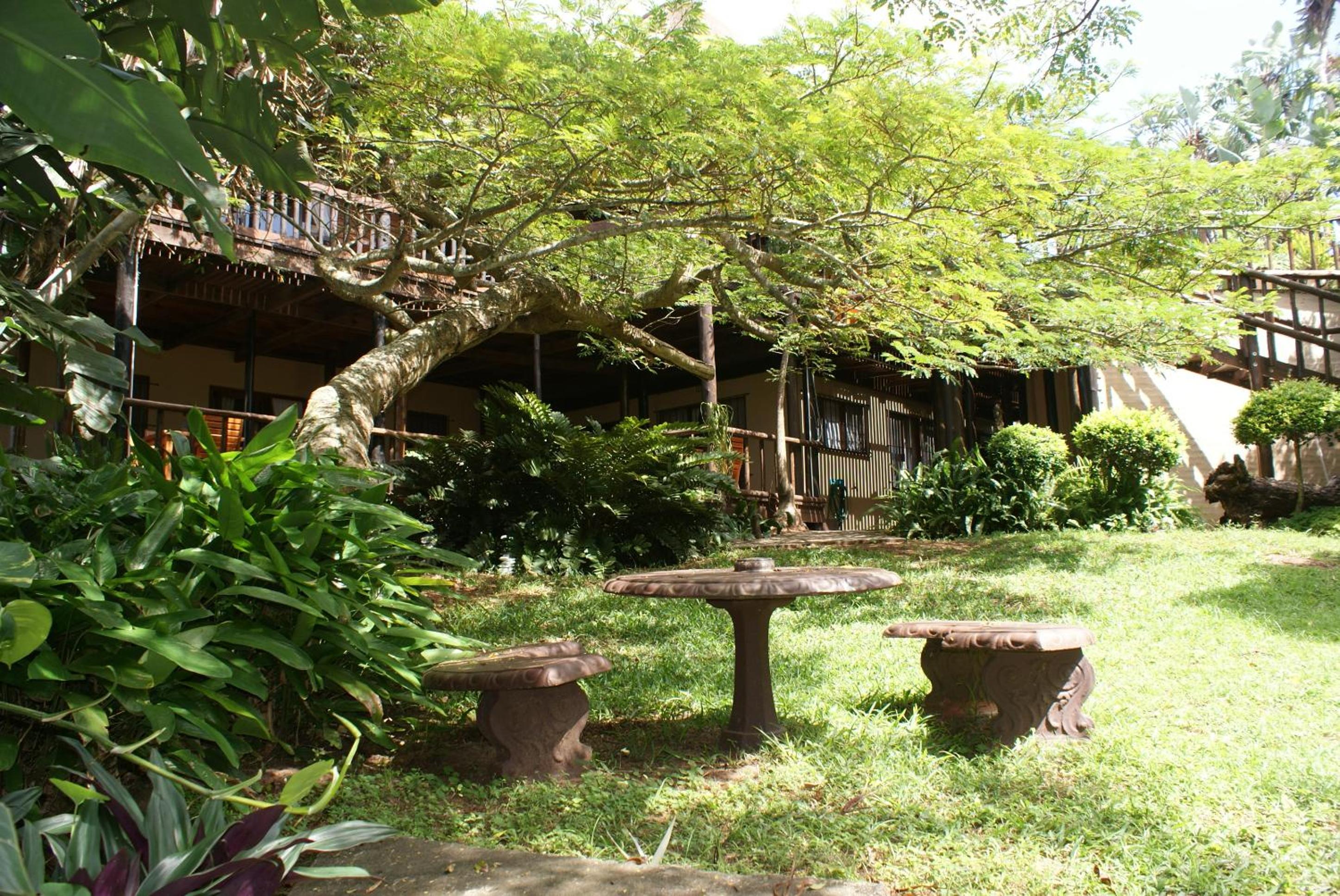Photo 9