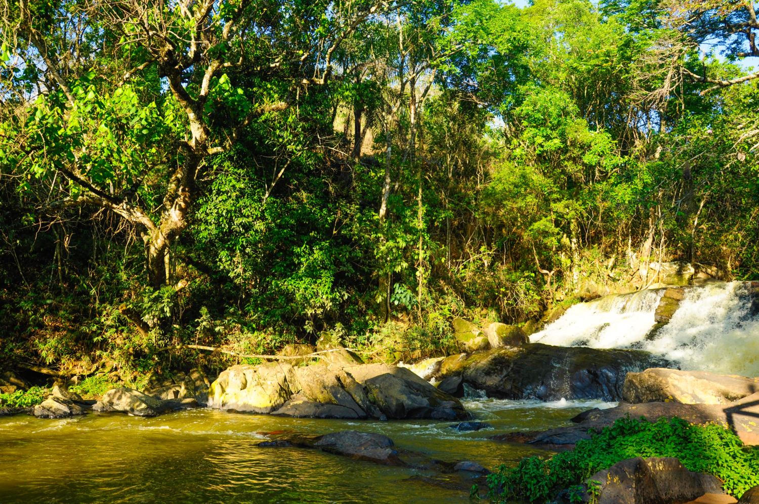 Canto da Floresta Ecoresort