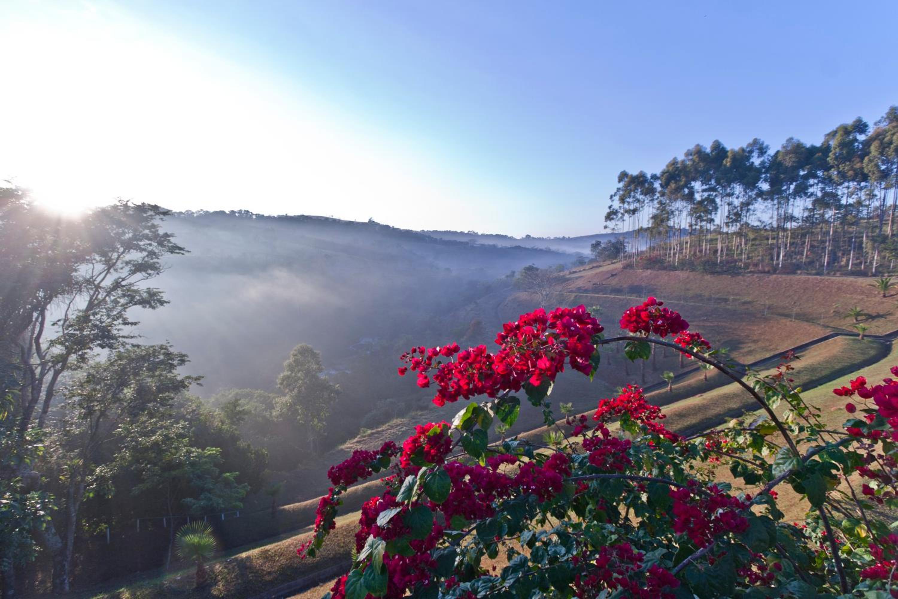 Canto da Floresta Ecoresort