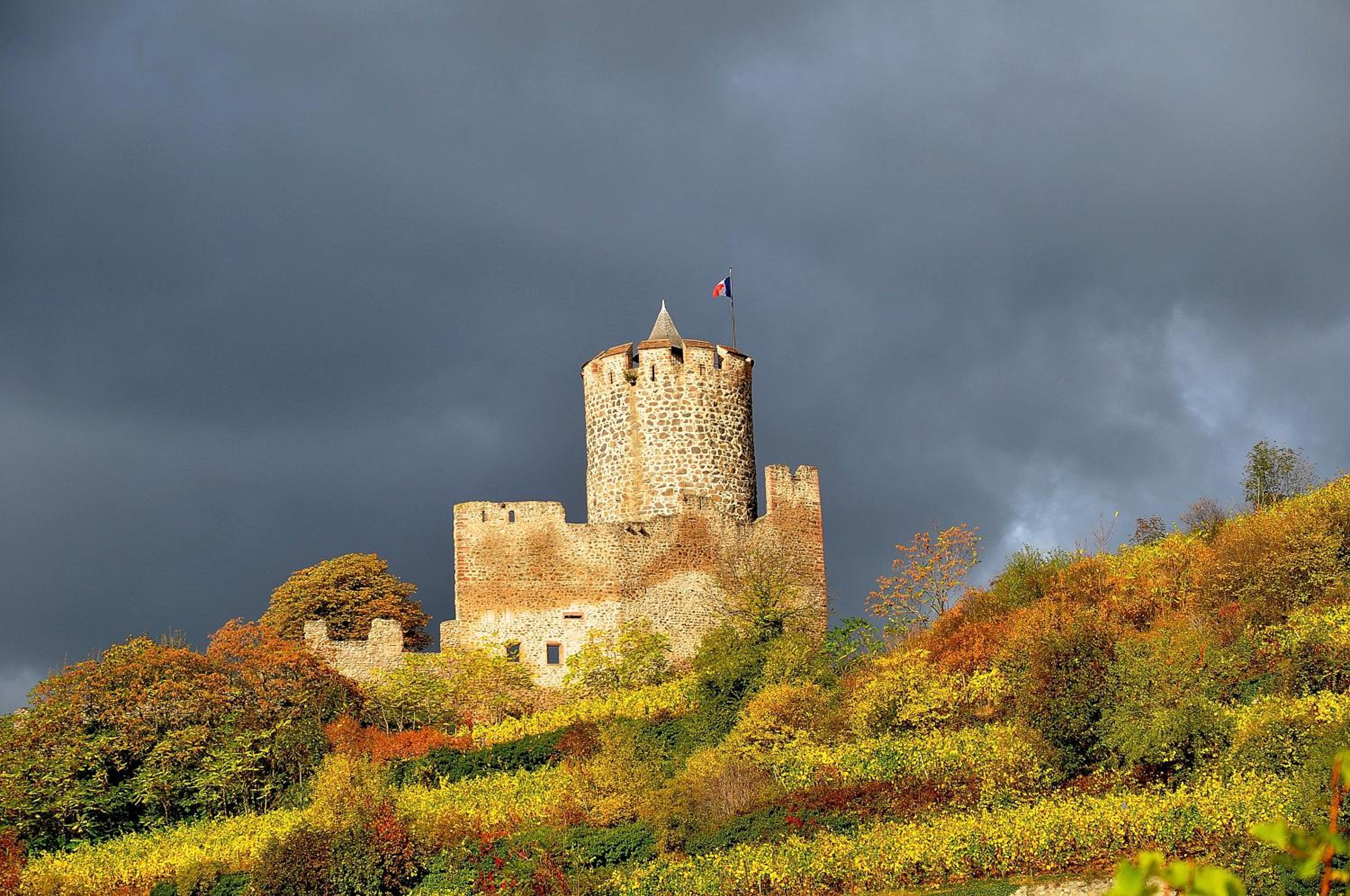 Gite du Vignoble view 4