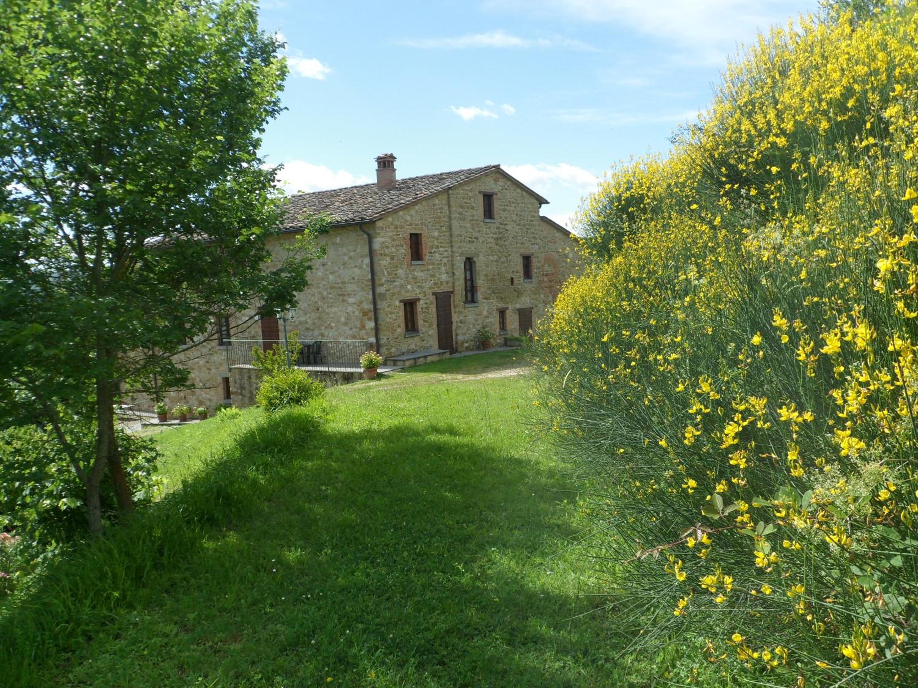 Photo 21