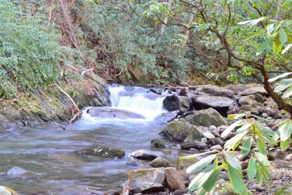 Buffalo Creek Bed and Breakfast