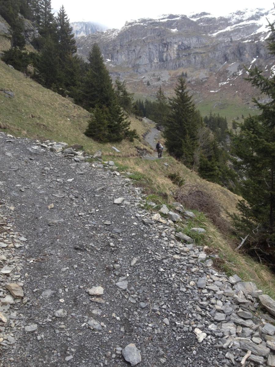 Photo 24