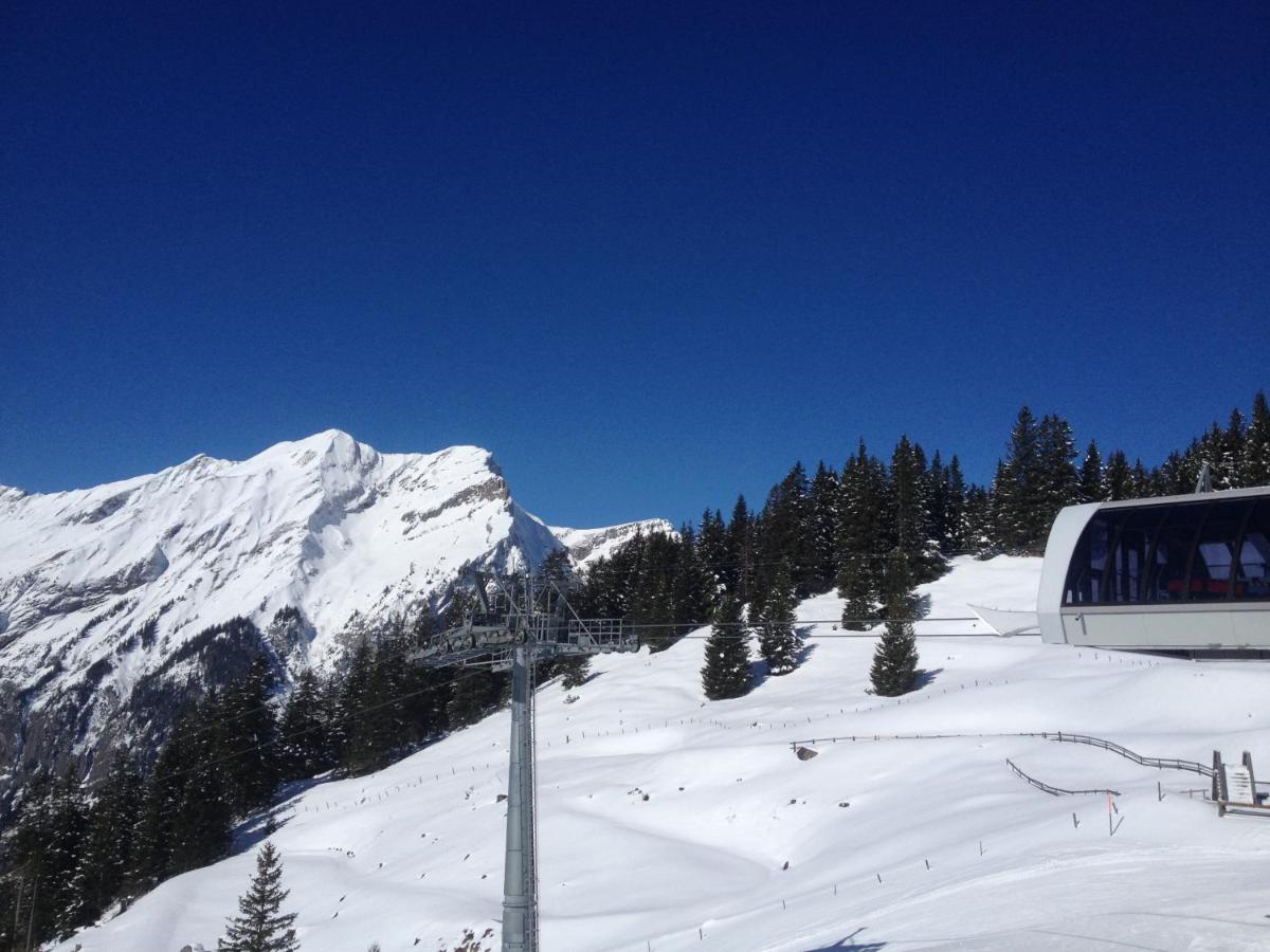 Hotel Appartment Chalet Sonnenheim