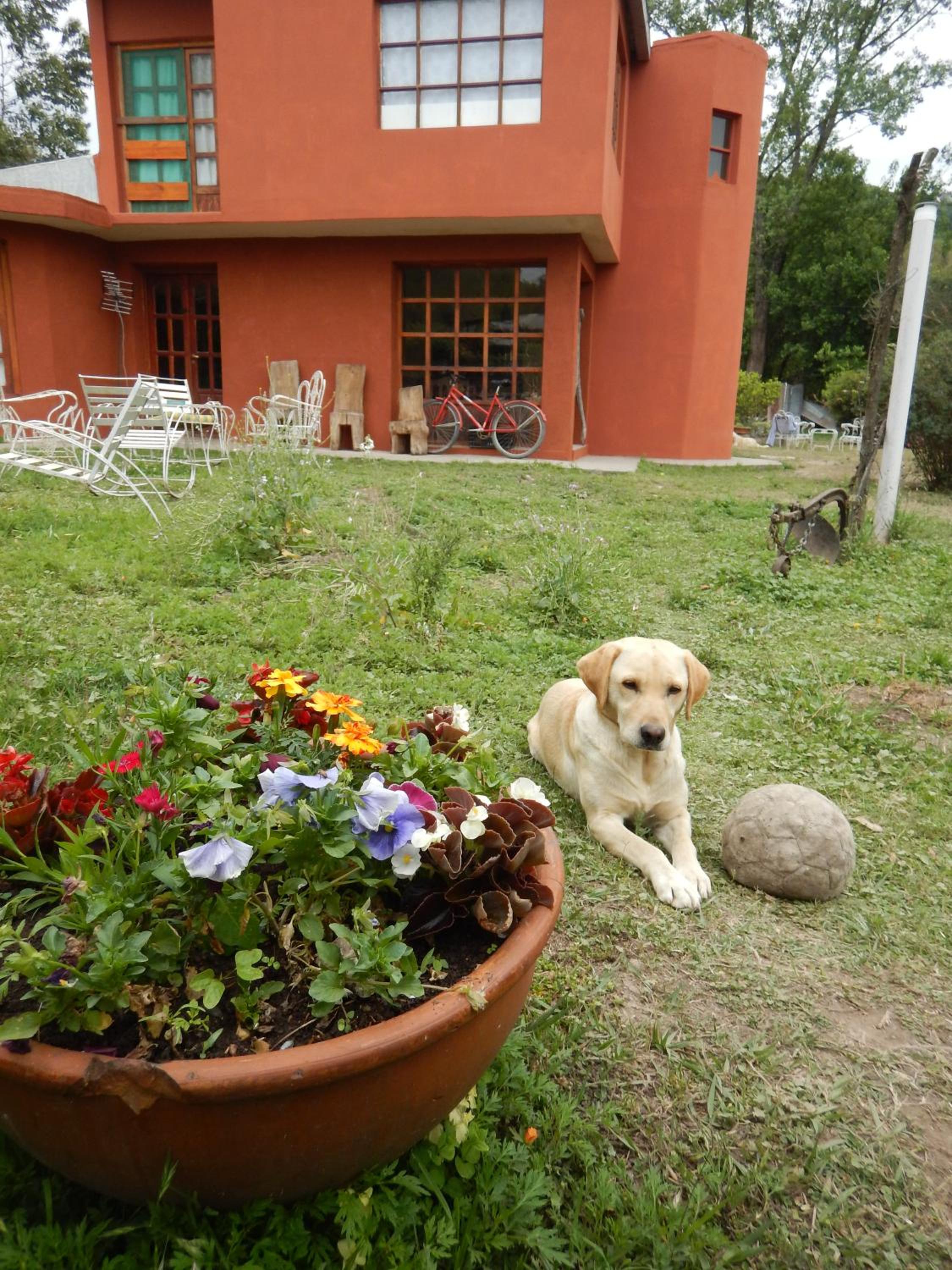 Jujuy Casa Pueblo