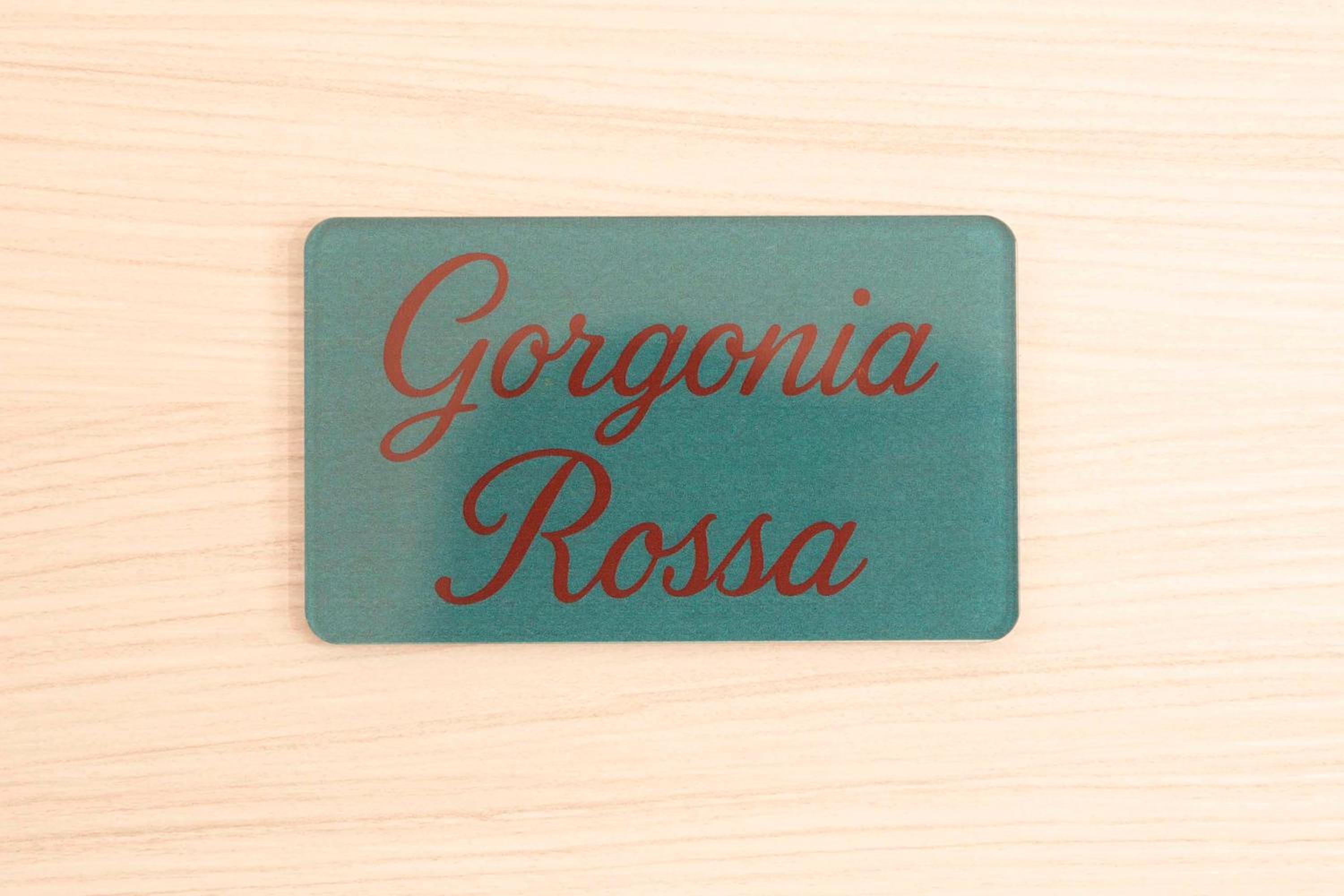 La Gorgonia