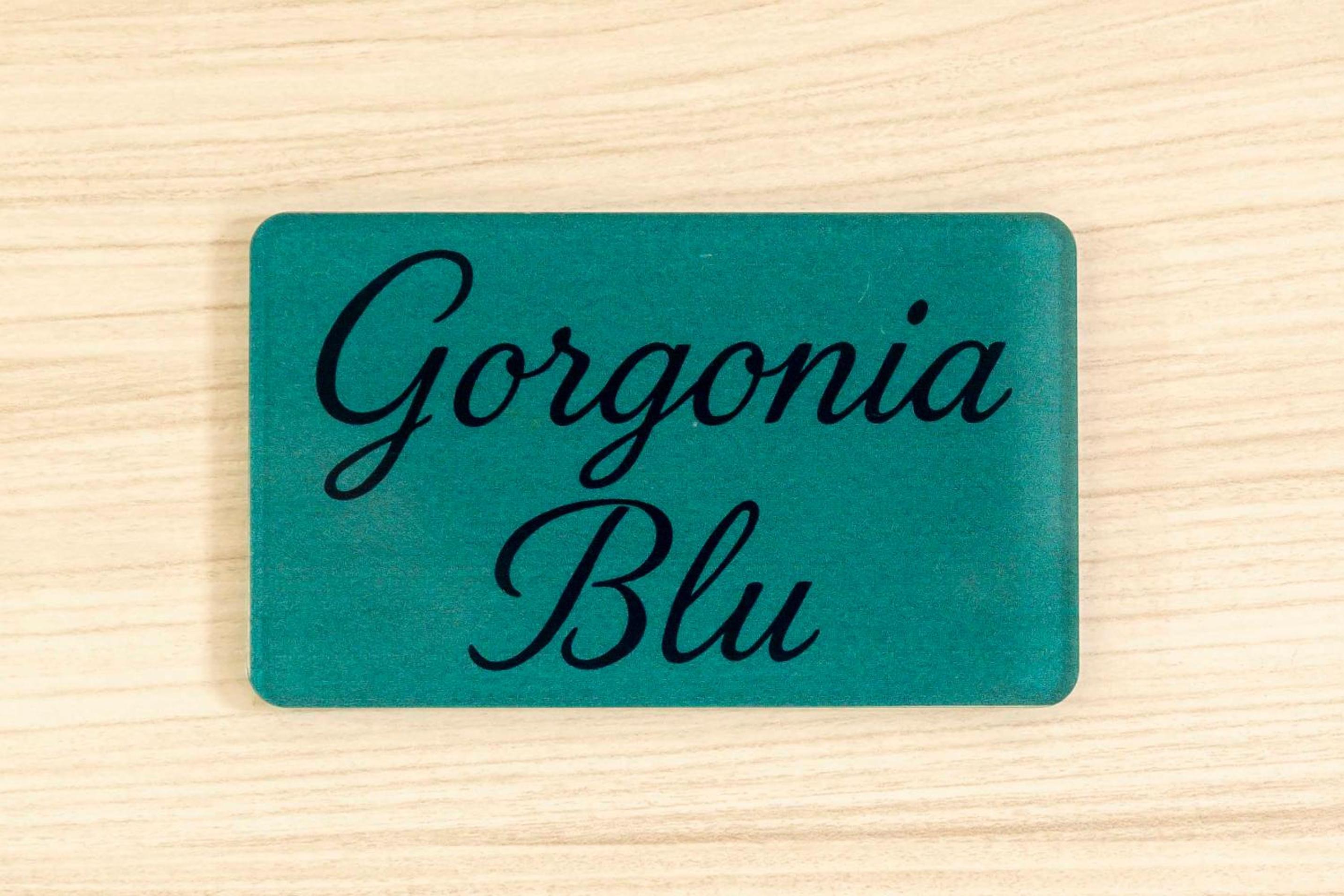 La Gorgonia
