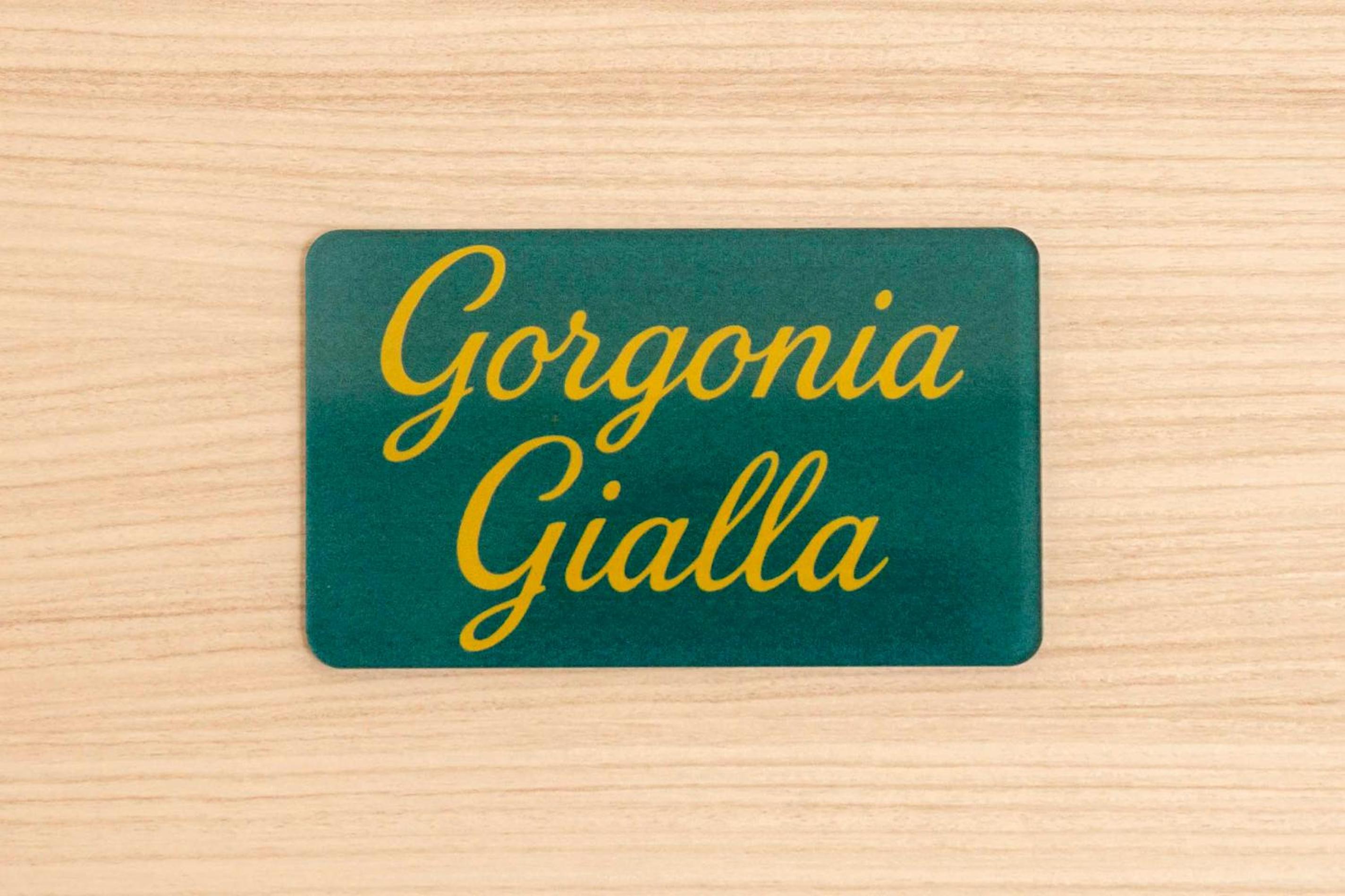 La Gorgonia