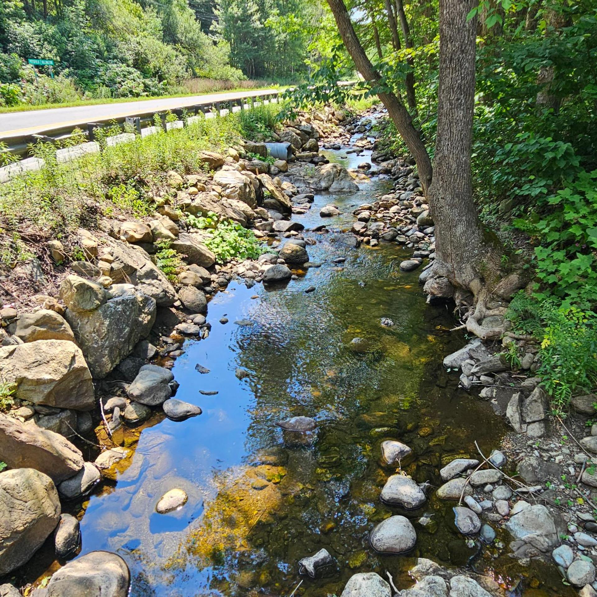 Experience the charm of Peak Hill Home, a cozy 3-BR retreat close to Ski Resort