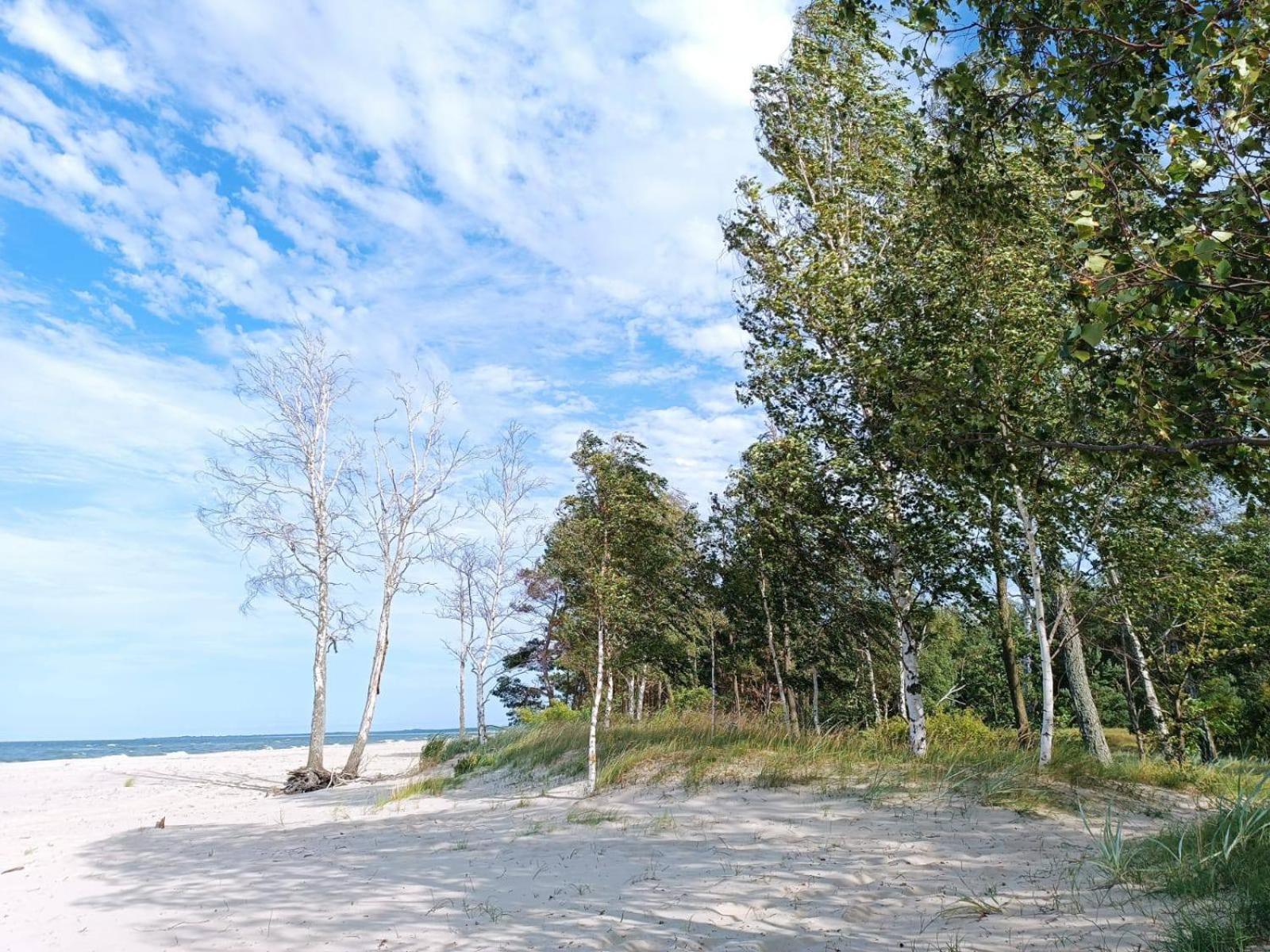 Batic Line - SUNNY PLACE - FUNNY PLACE, apartament ze słonecznym ogródkiem na Wyspie Sobieszewskiej