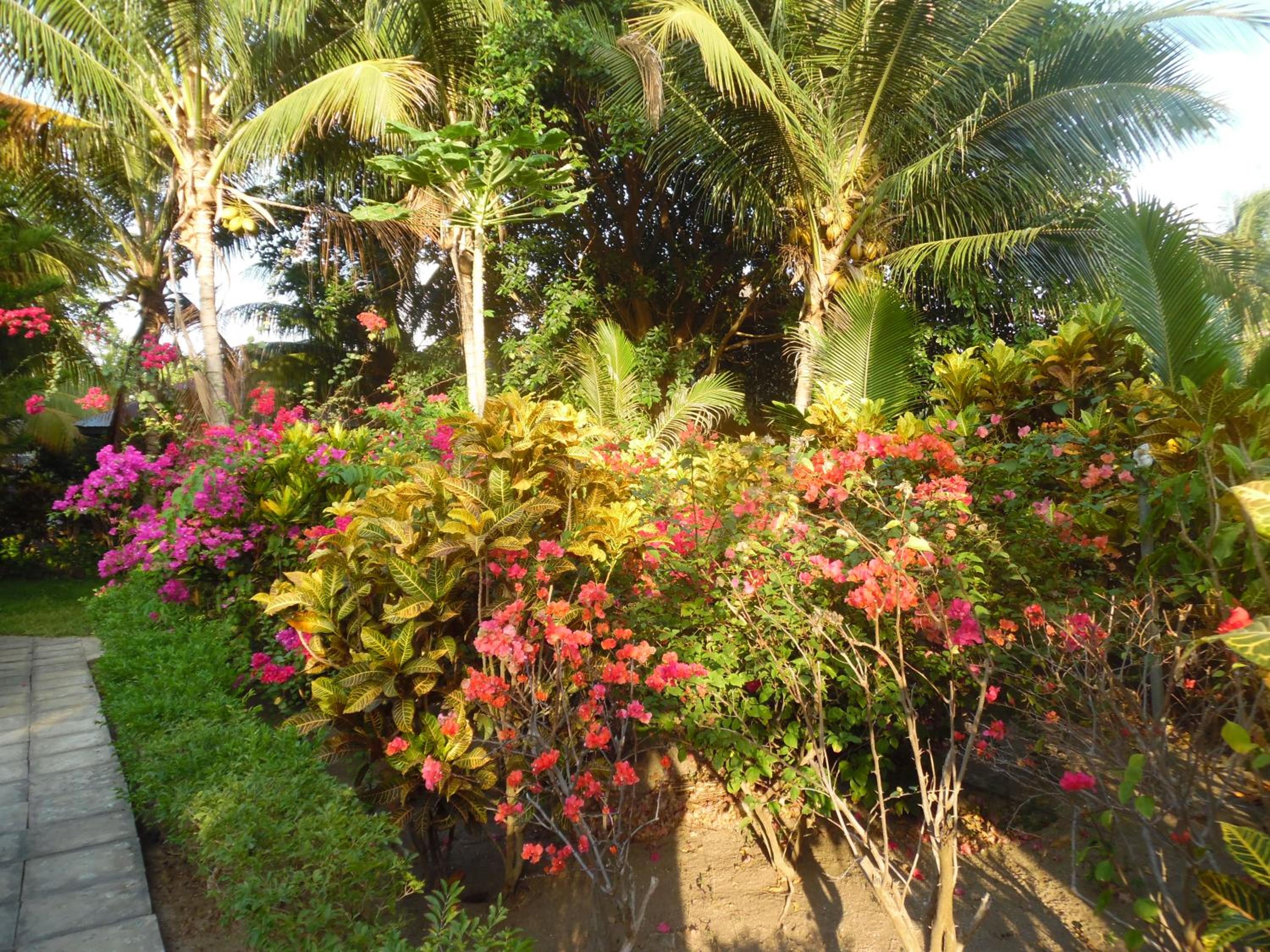 Photo 10