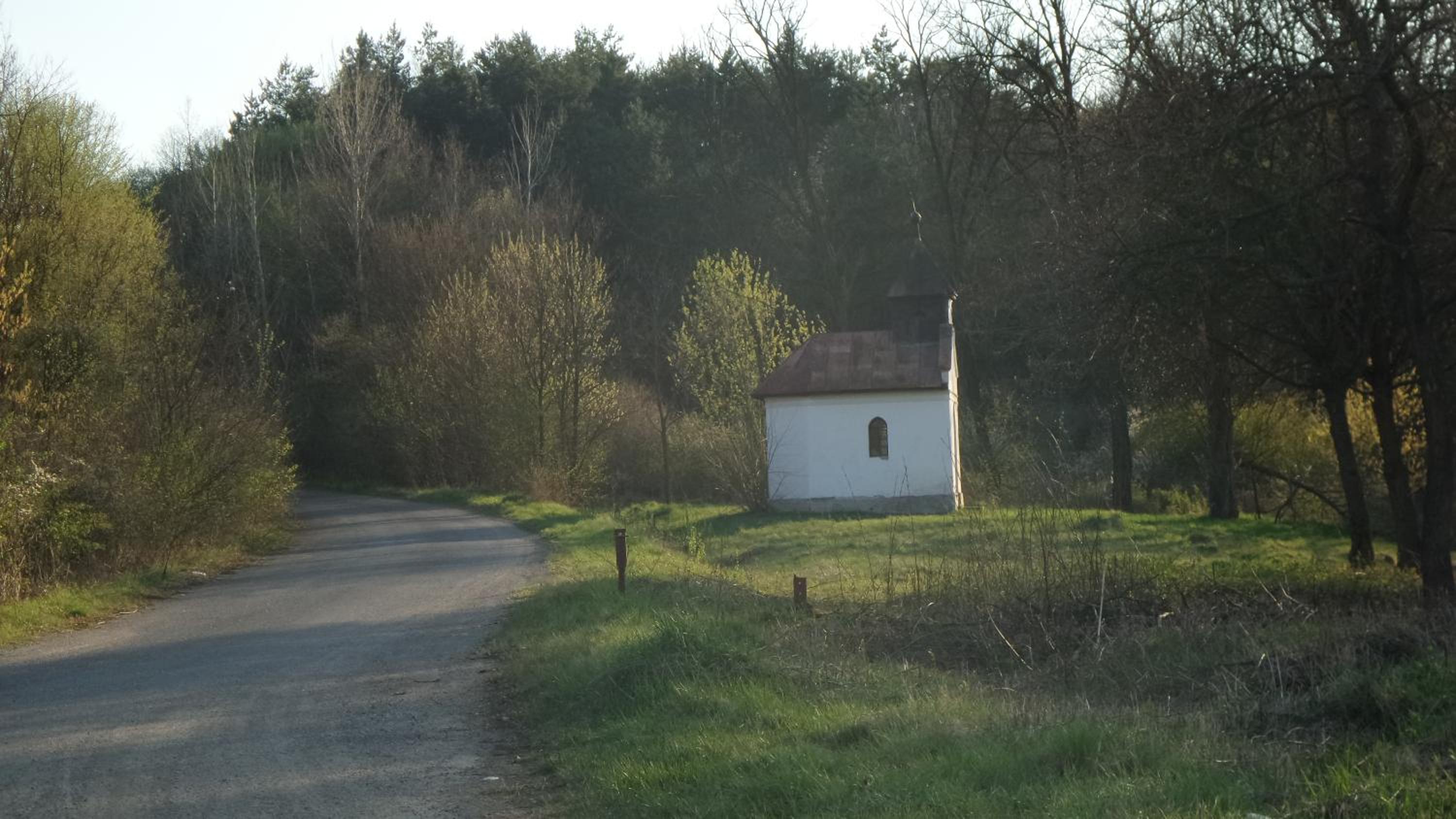 Photo 63