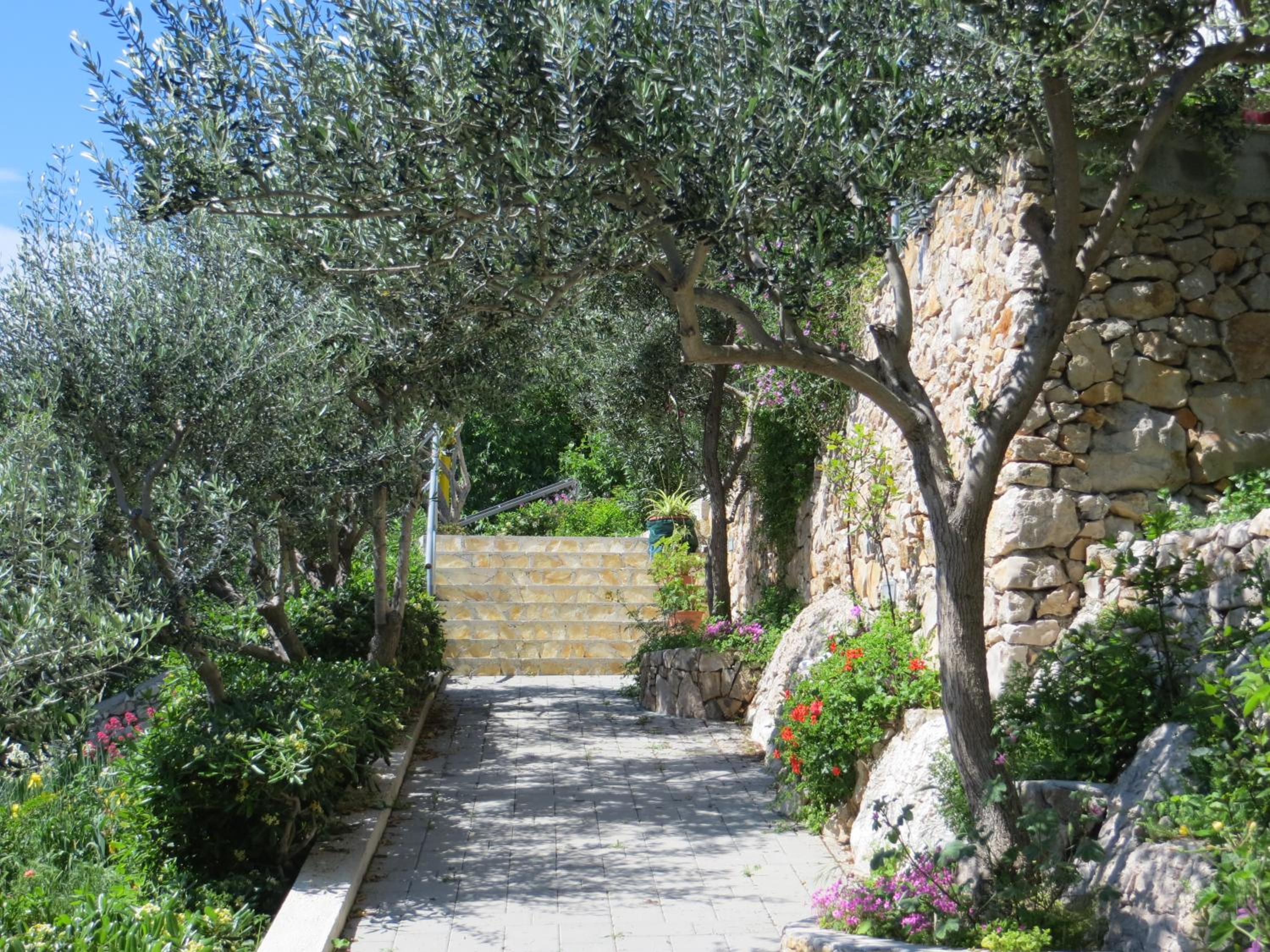 Photo 22