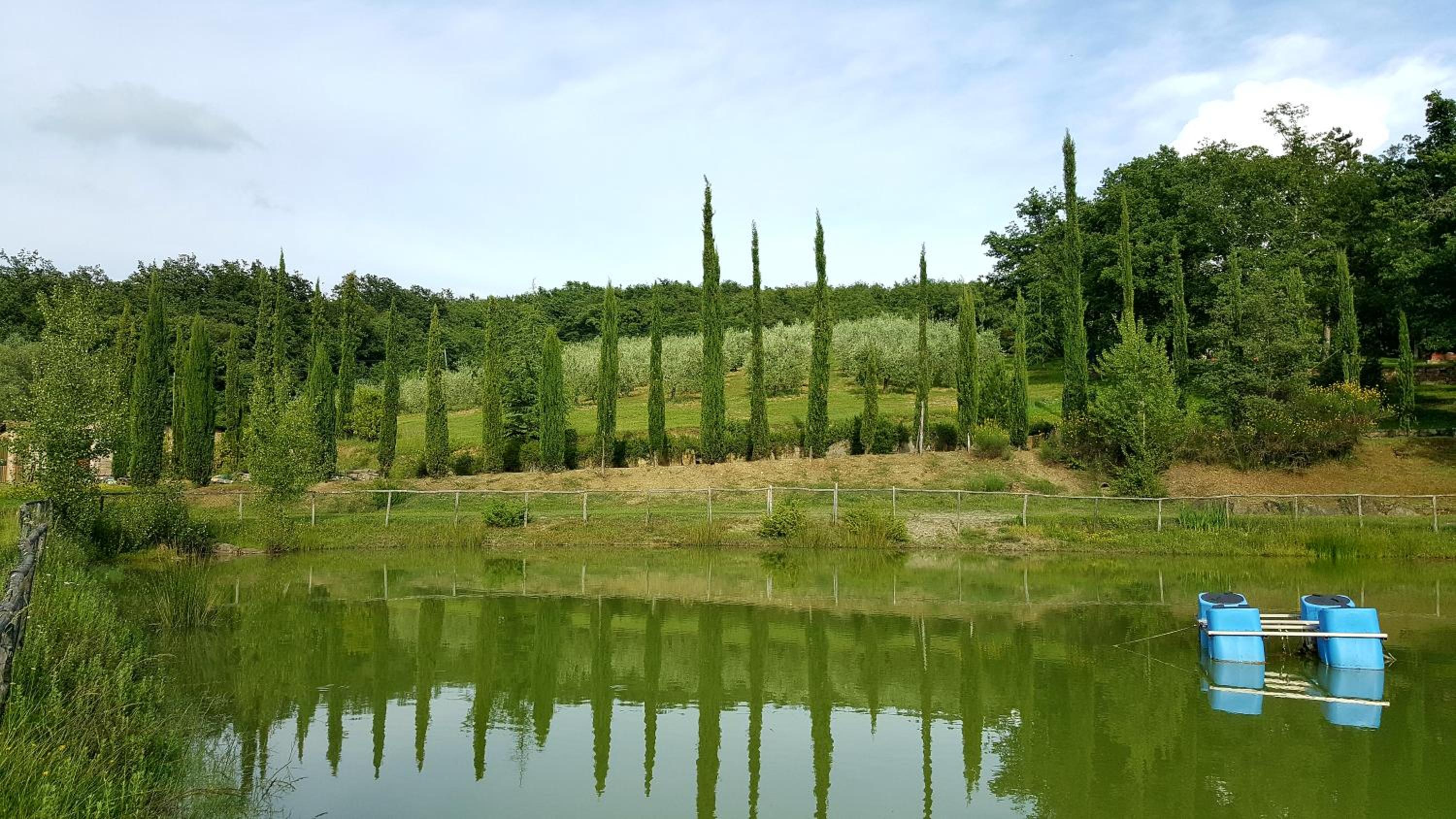 Holiday House Le Selvole view 5