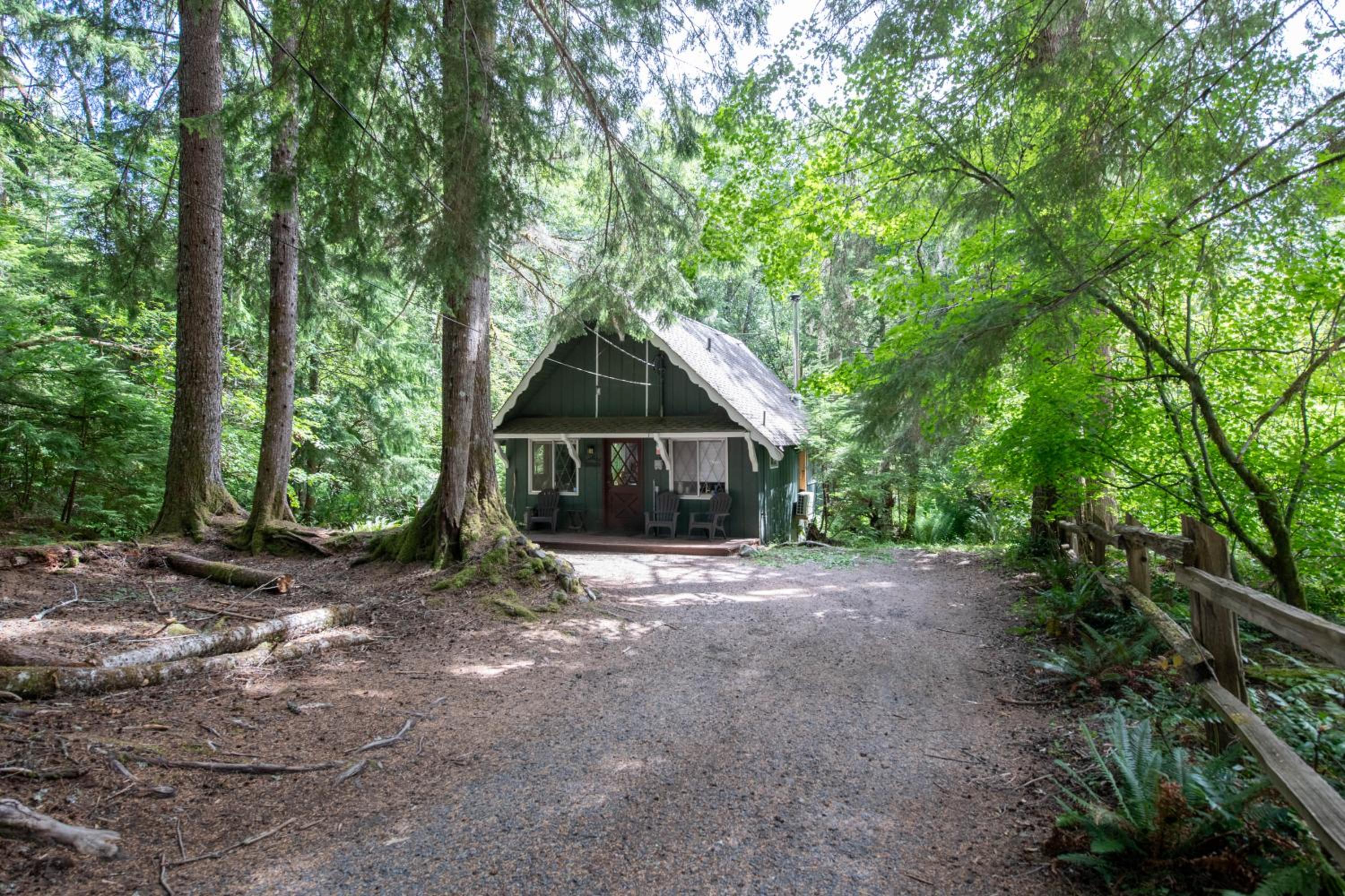 Fog & Fern Hideaway at Mount Rainier