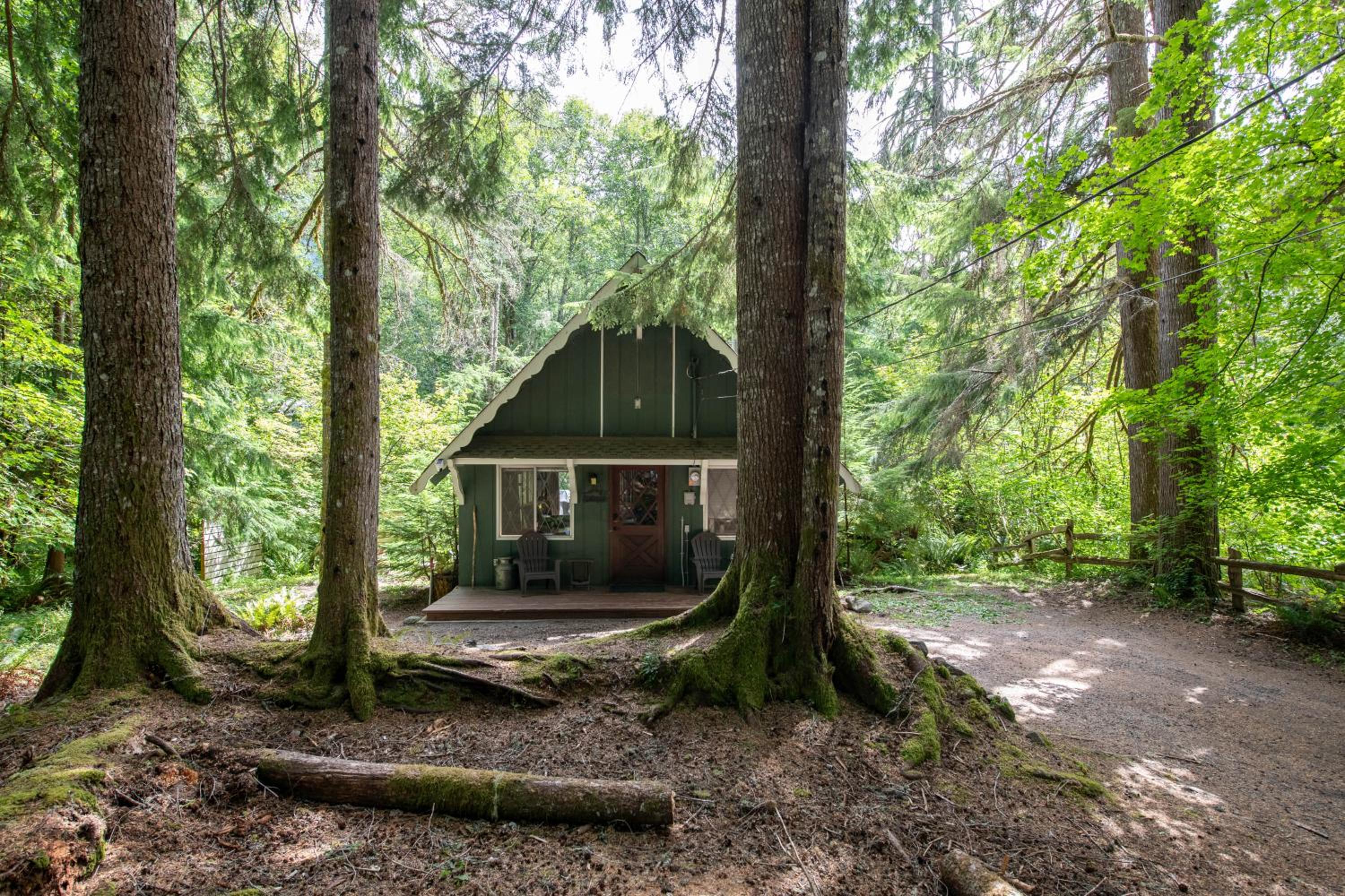 Fog & Fern Hideaway at Mount Rainier