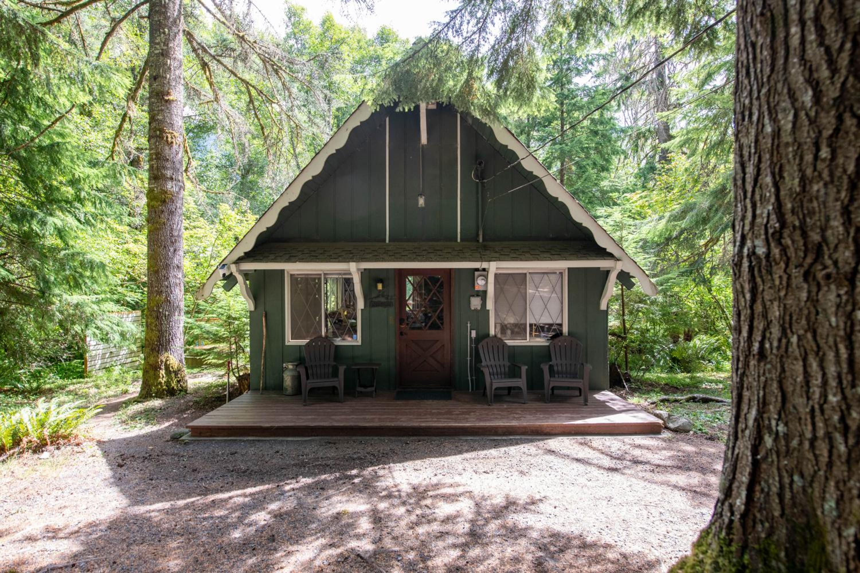Fog & Fern Hideaway at Mount Rainier