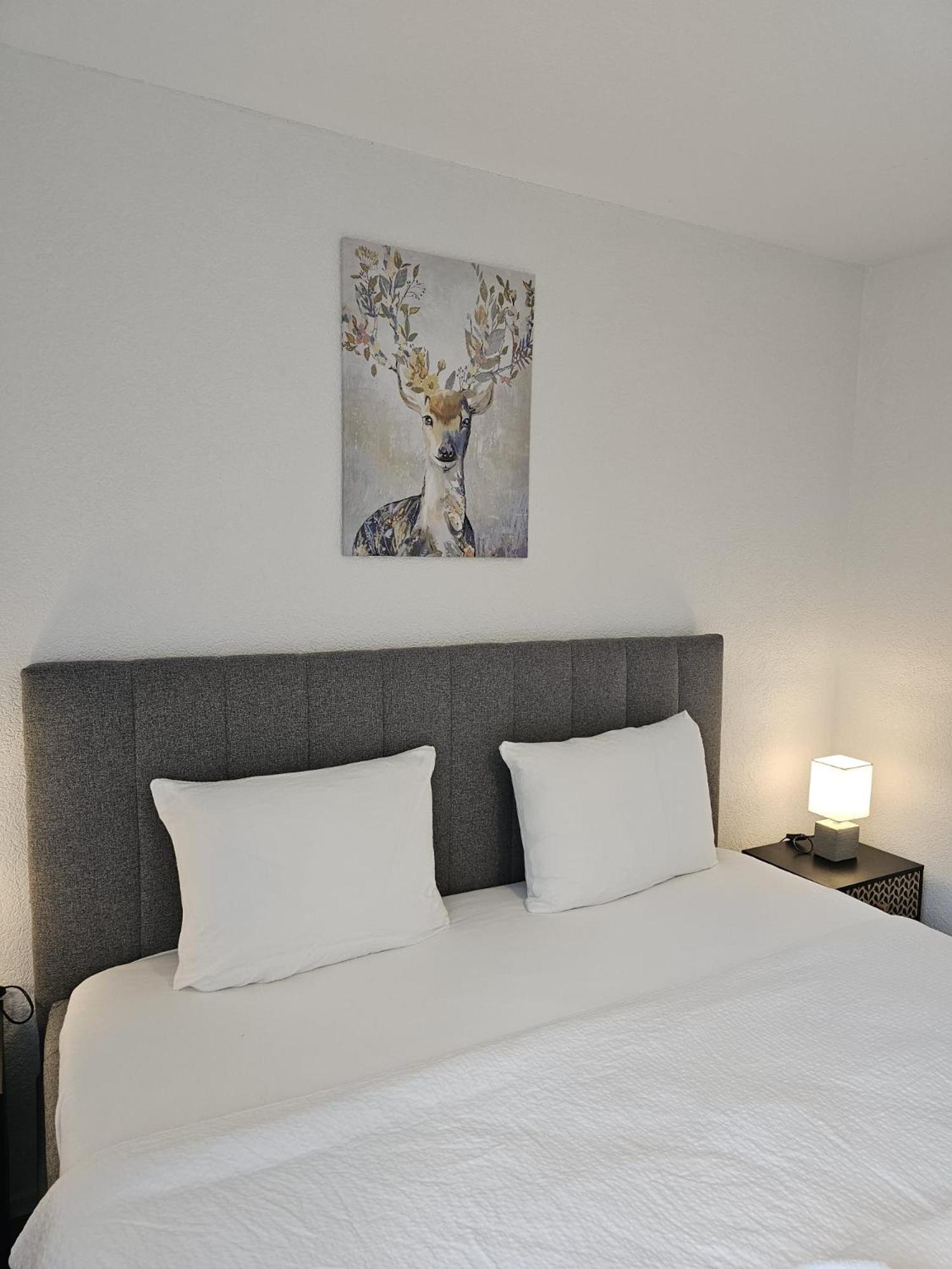 Habibi Apartment - Aare Jungfrau AG
