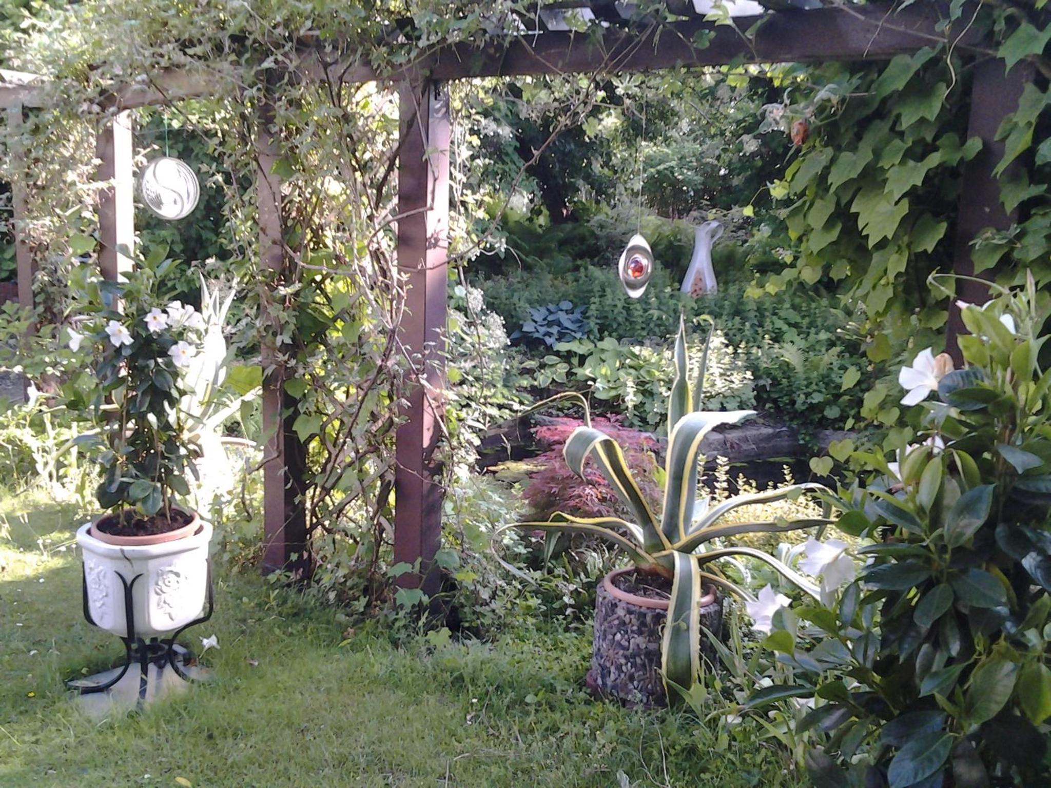 Photo 6