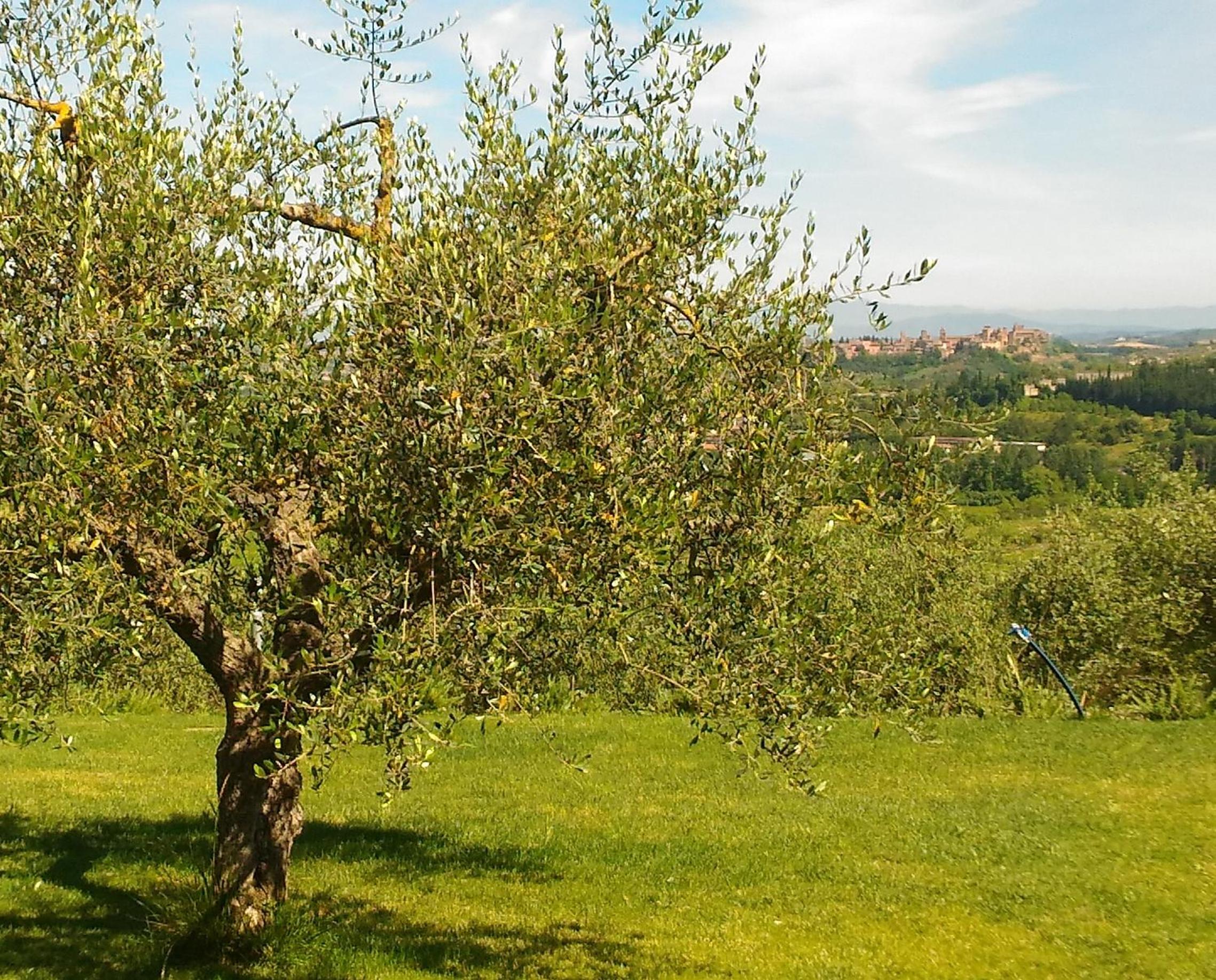 Capanna 1826