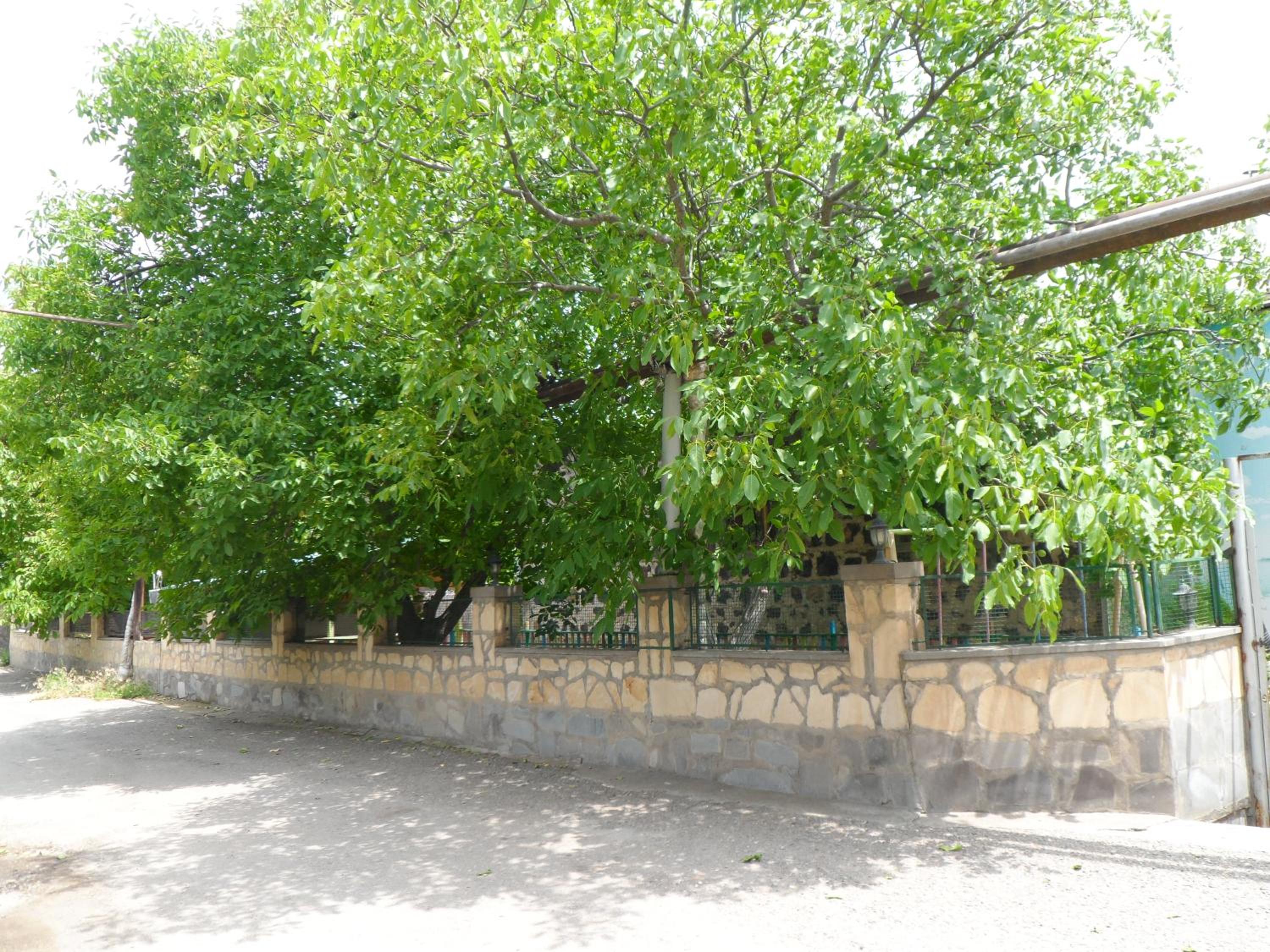 Guest house Nataly