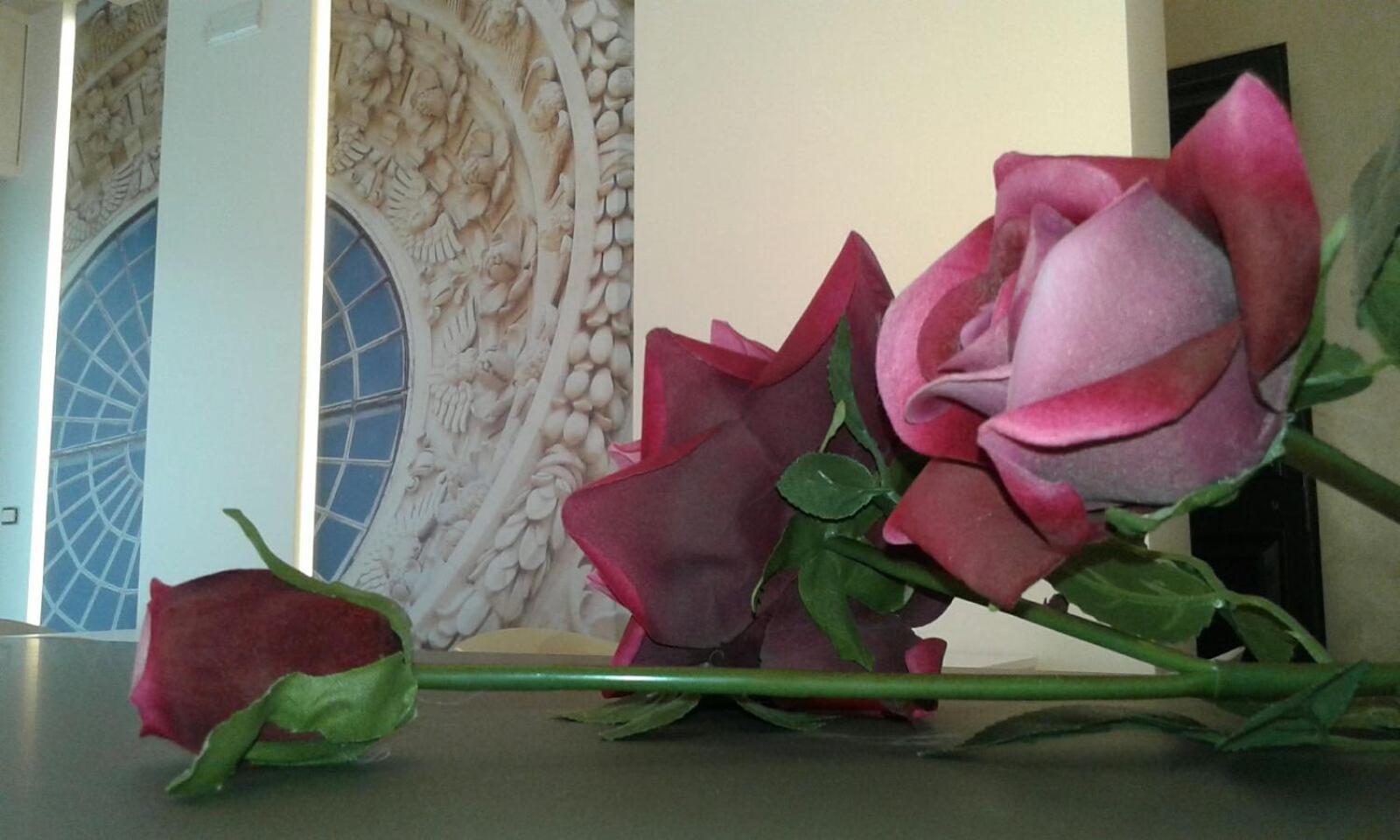 Photo 39
