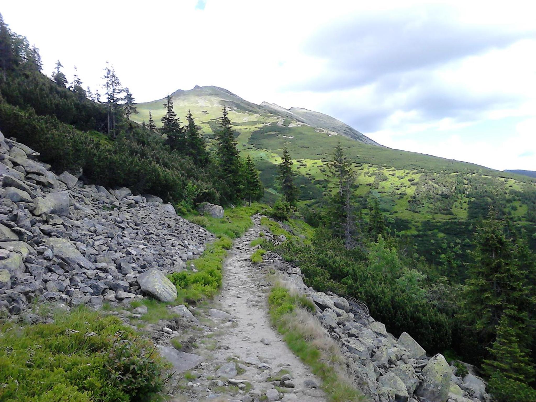 Photo 44