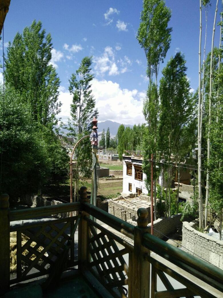 Photo 15