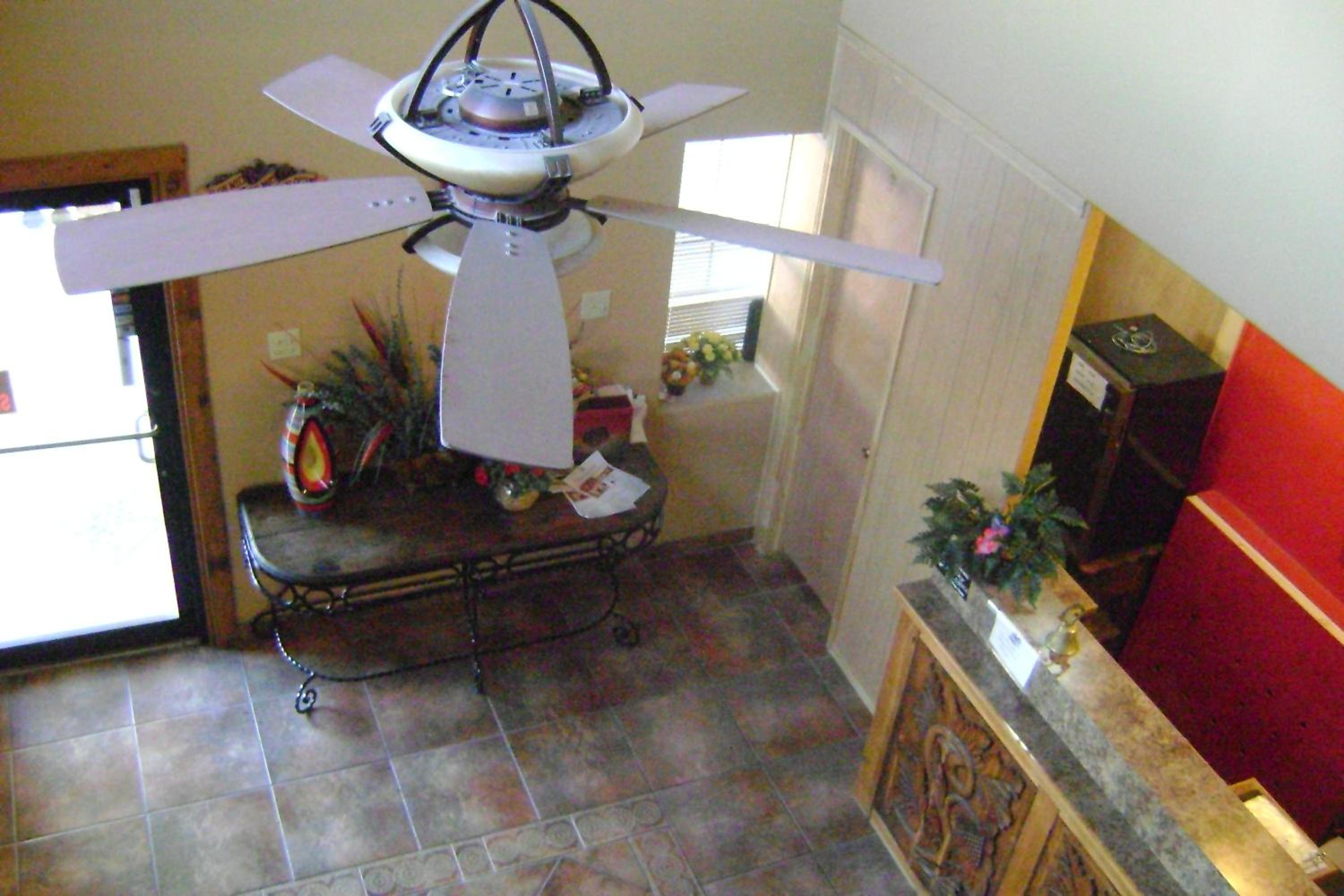 Photo 8