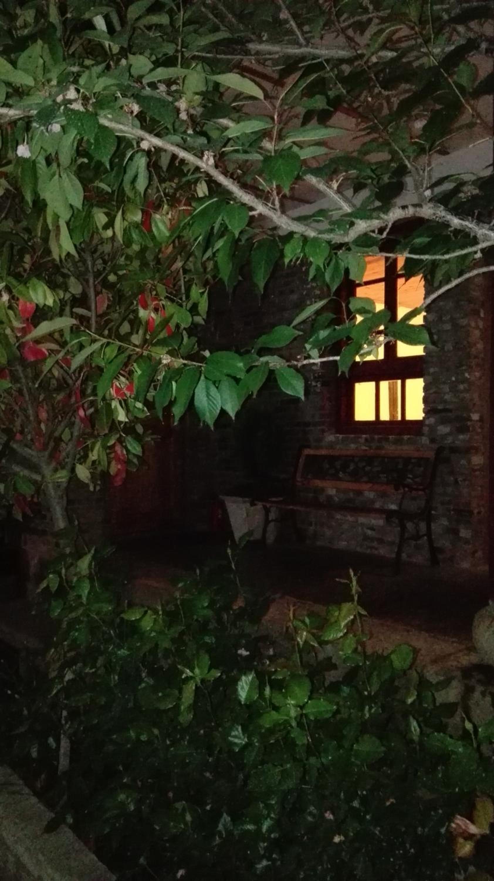 Kevin's Trekker Inn
