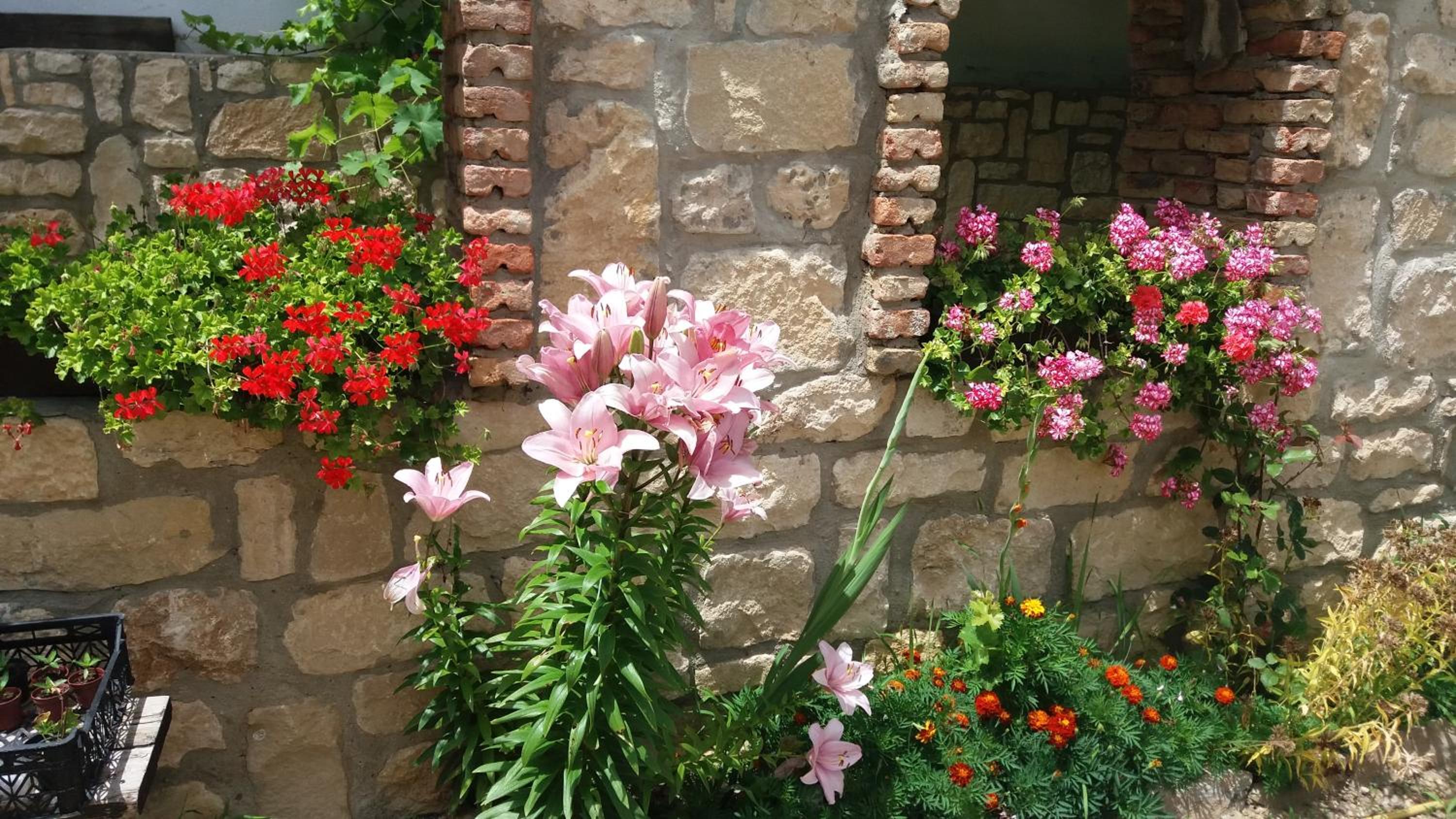 Villa Nasco